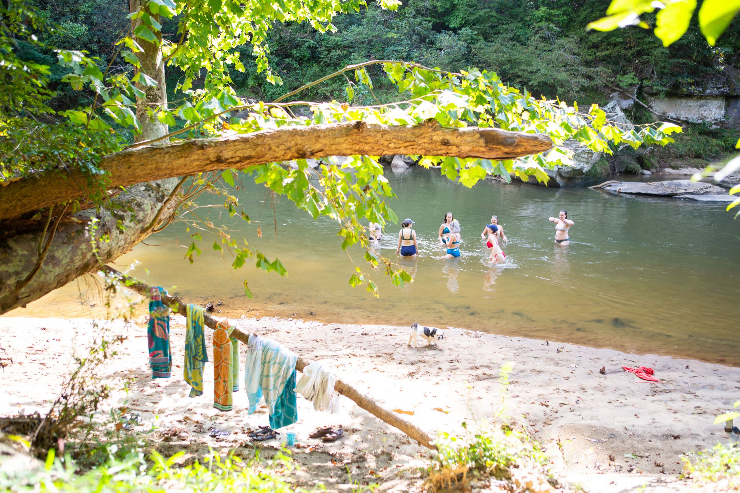 Carl’s Campsites - Riverside