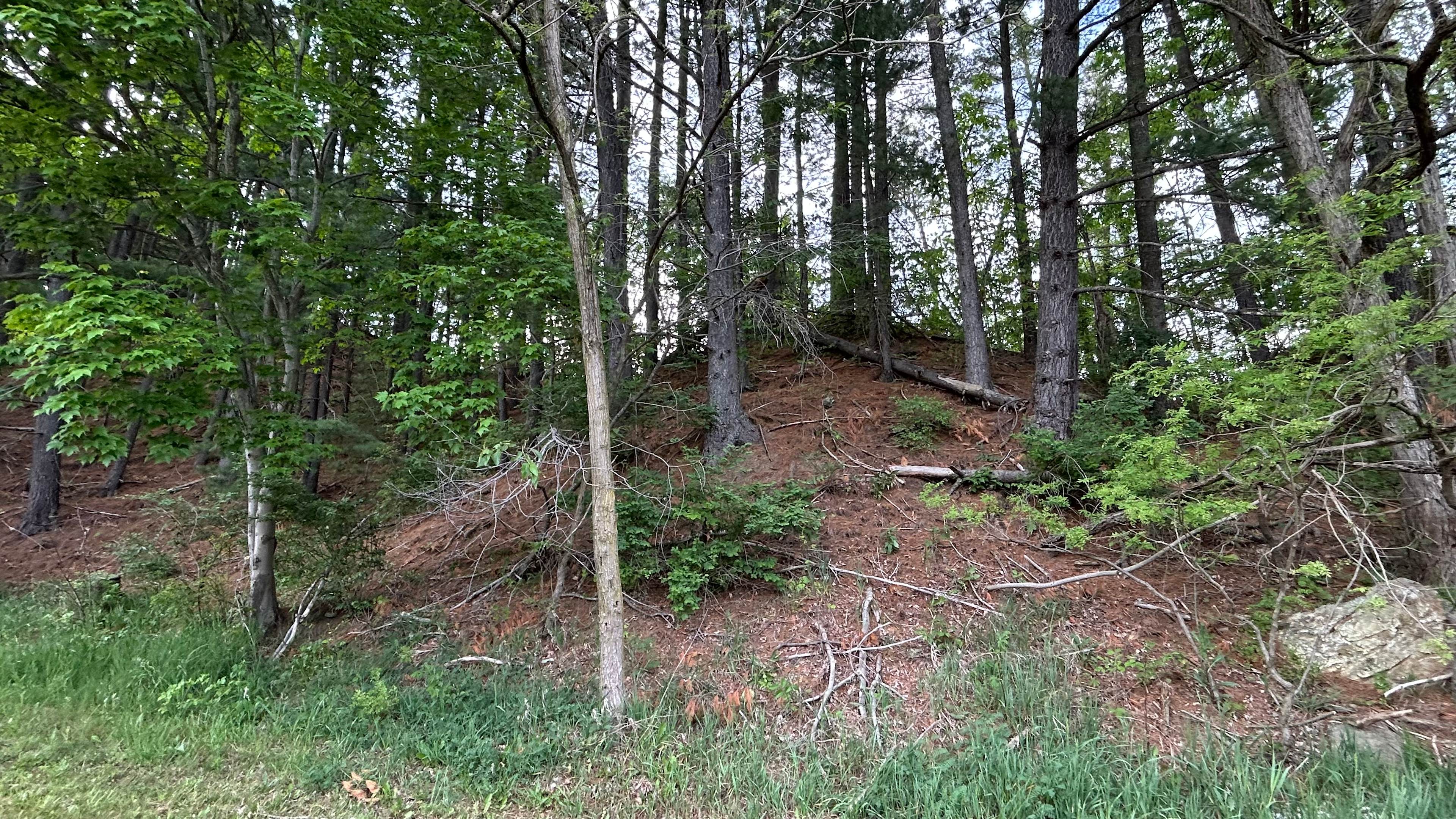 Pine knot camp