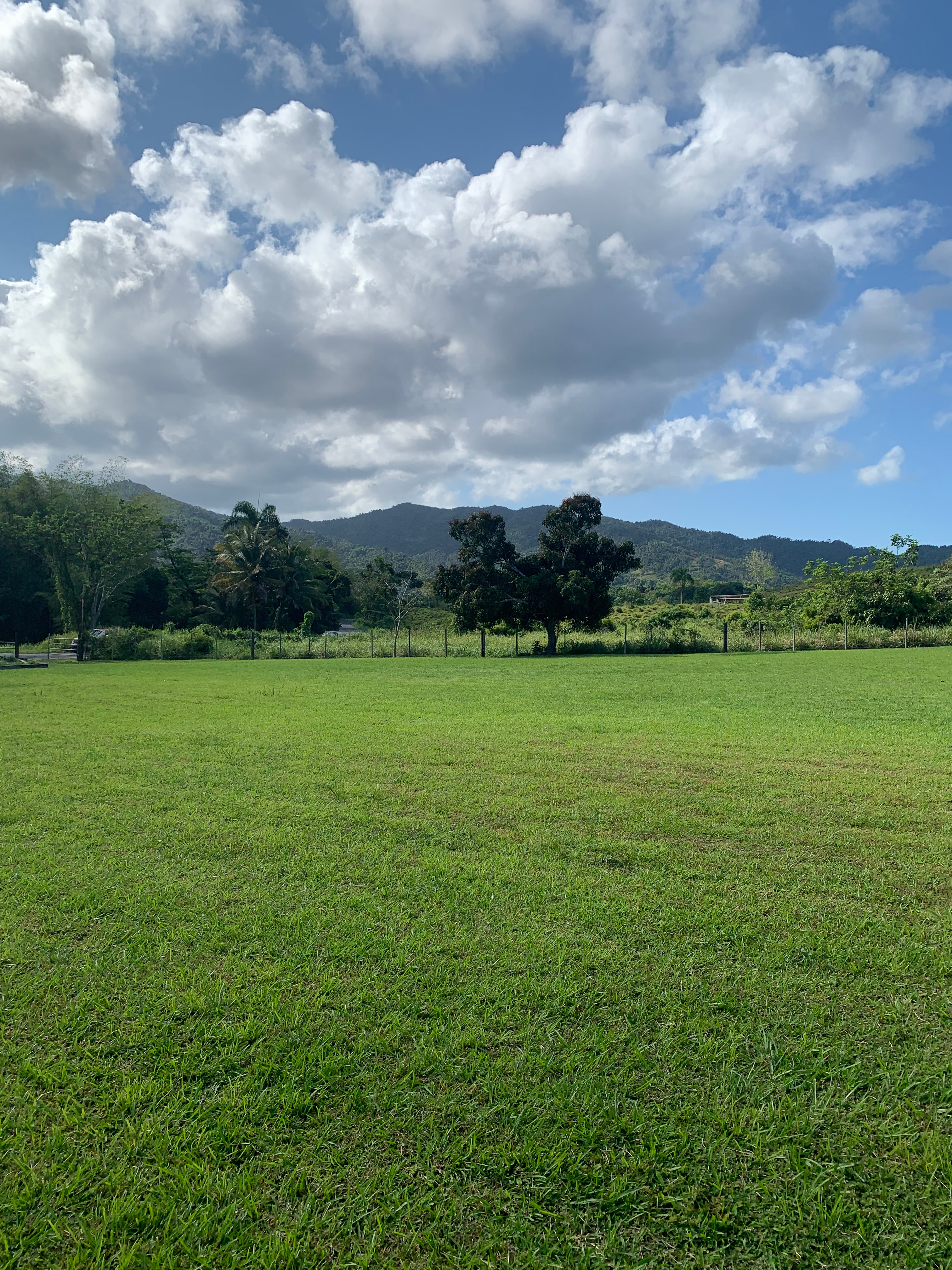 El Yunque Rest & Recharge