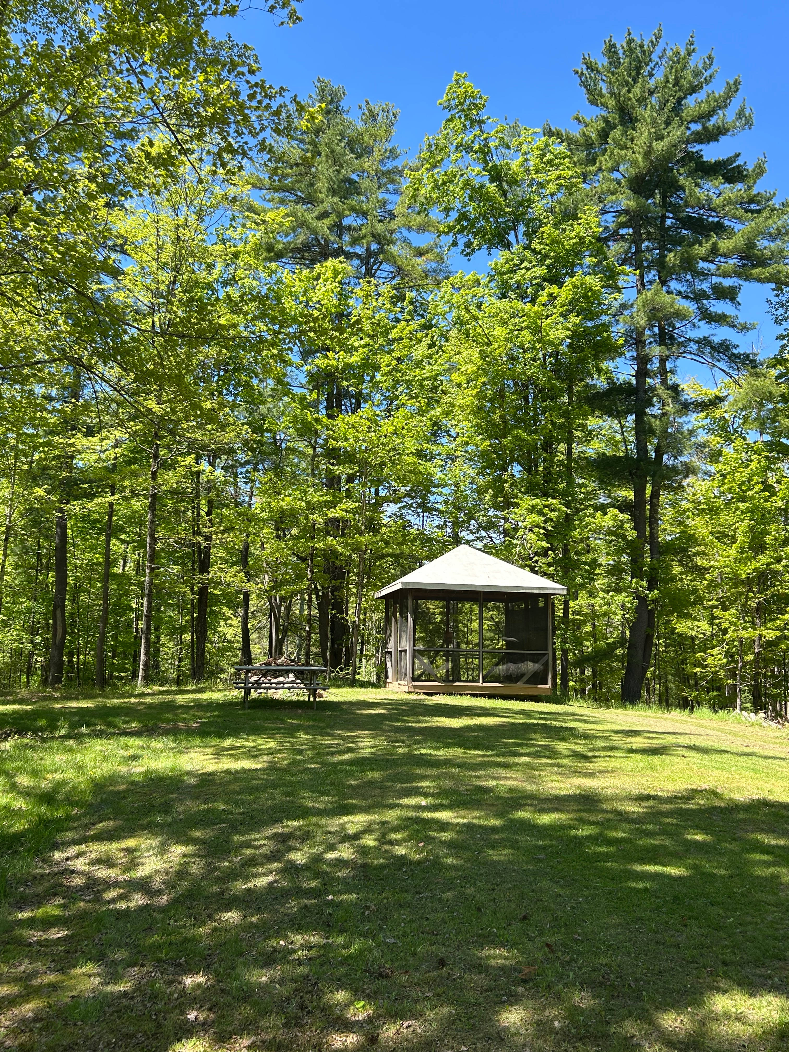 The Knoll at Woodstock Meadows