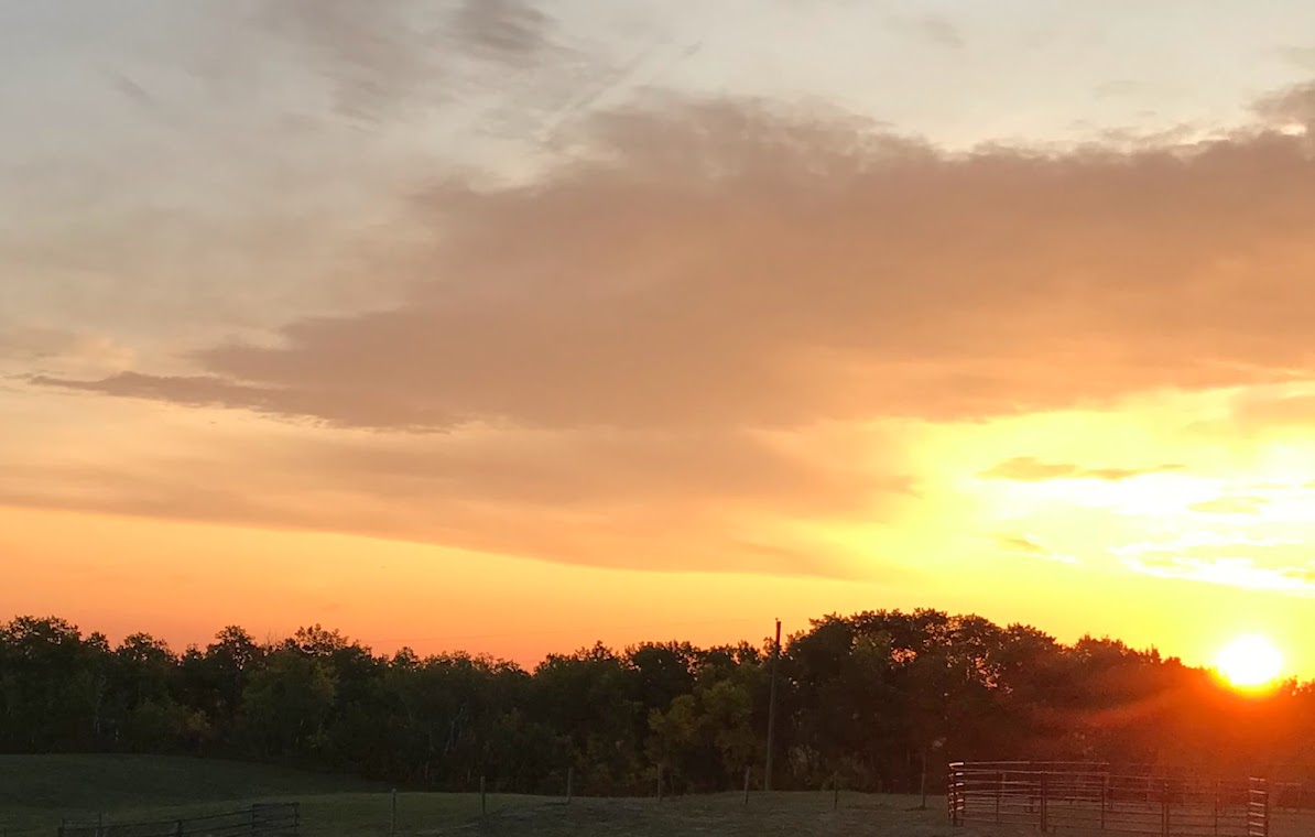 Whispering Willows Ranch