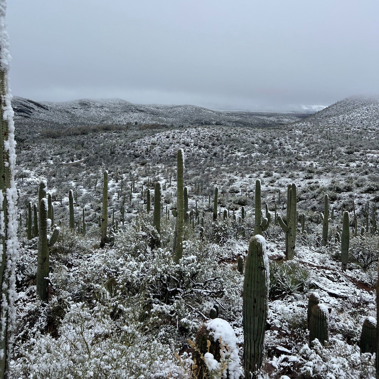 Colossal Cave Campground