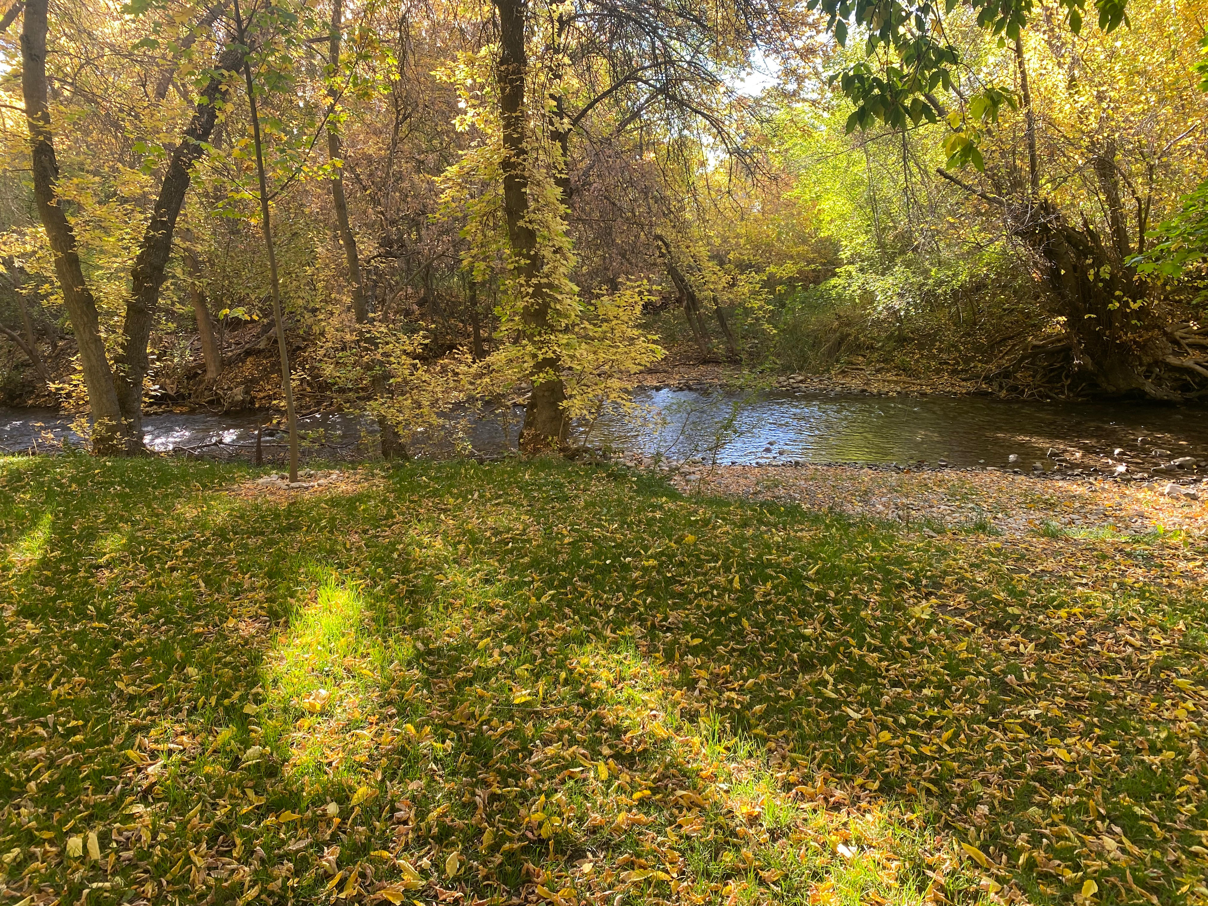 Shaded Creekside Retreat