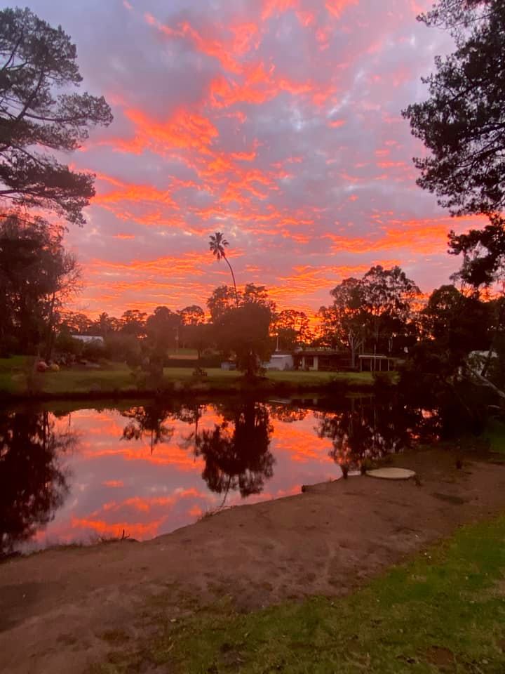 King River Palms Caravan Park