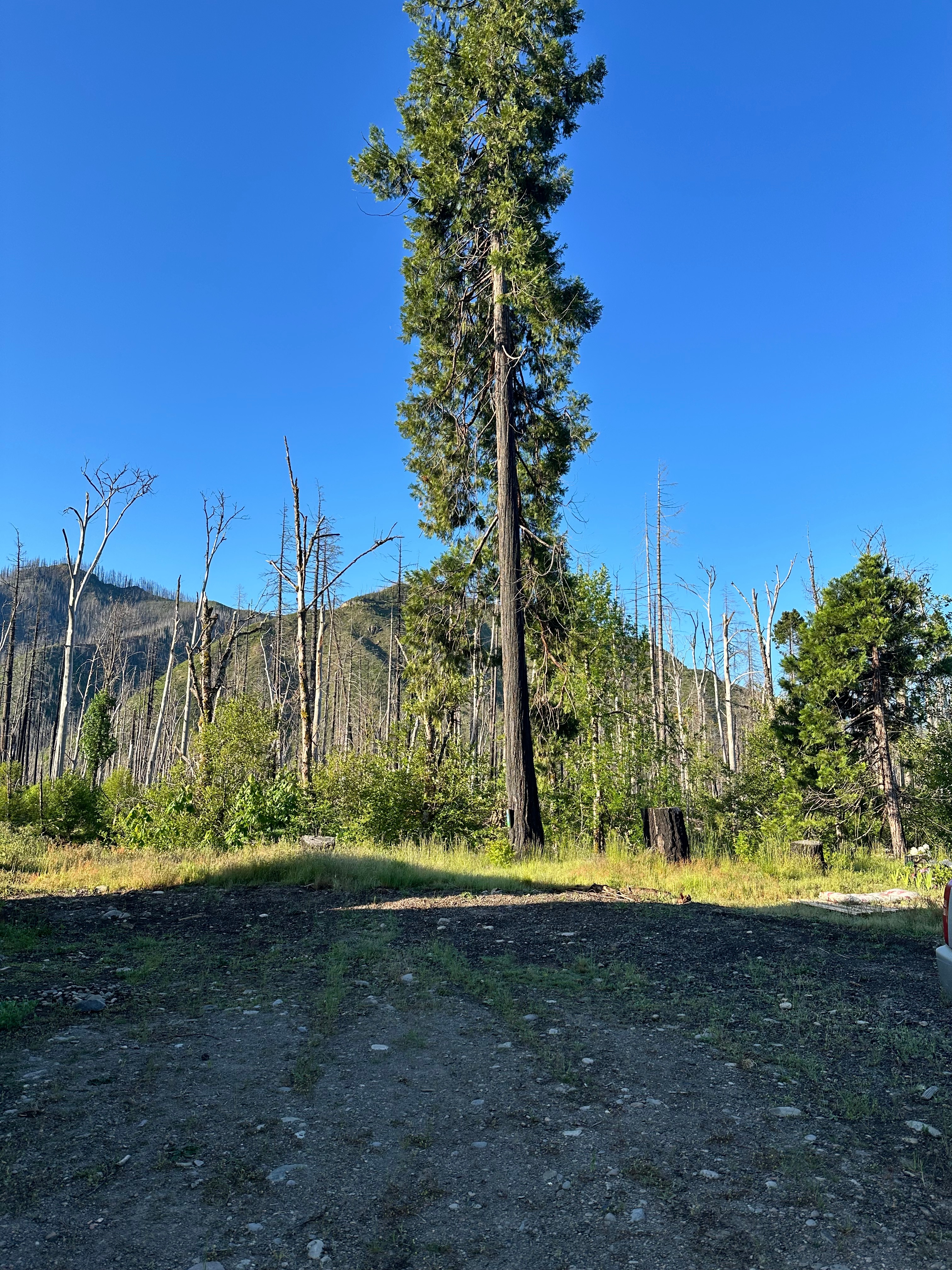 Phoenix Rising RV Camp