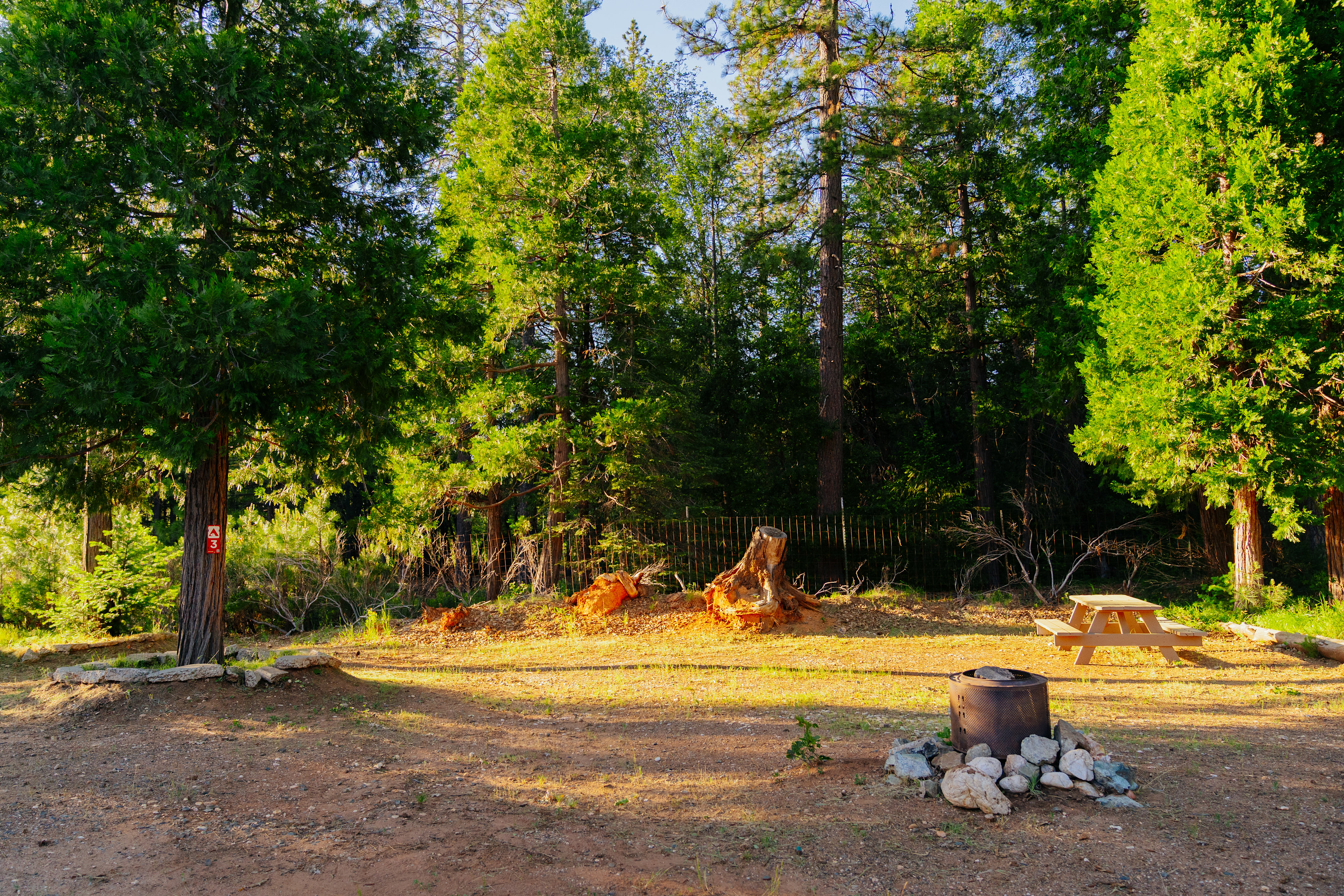 Alta Pines Camp