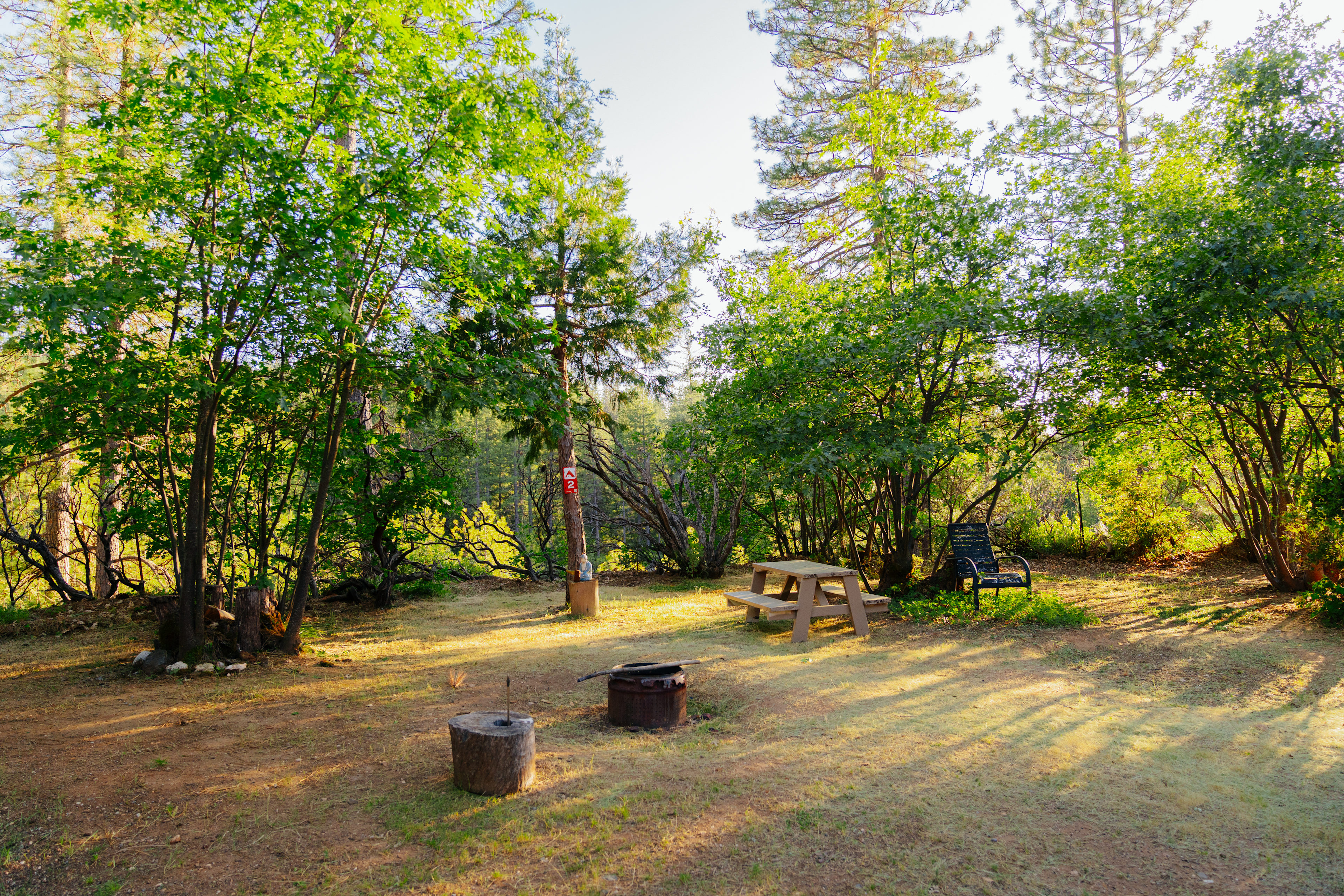 Alta Pines Camp
