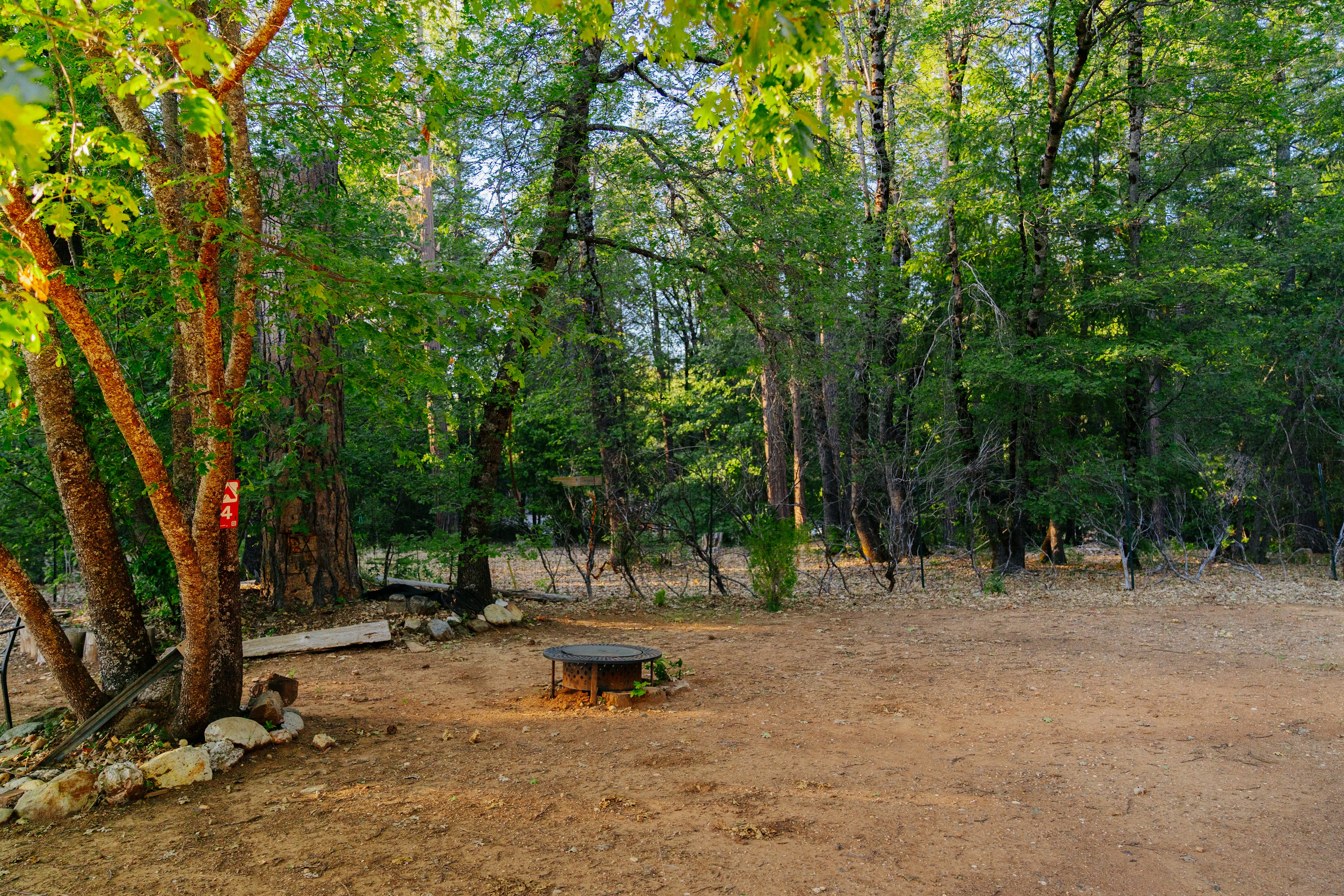 Alta Pines Camp