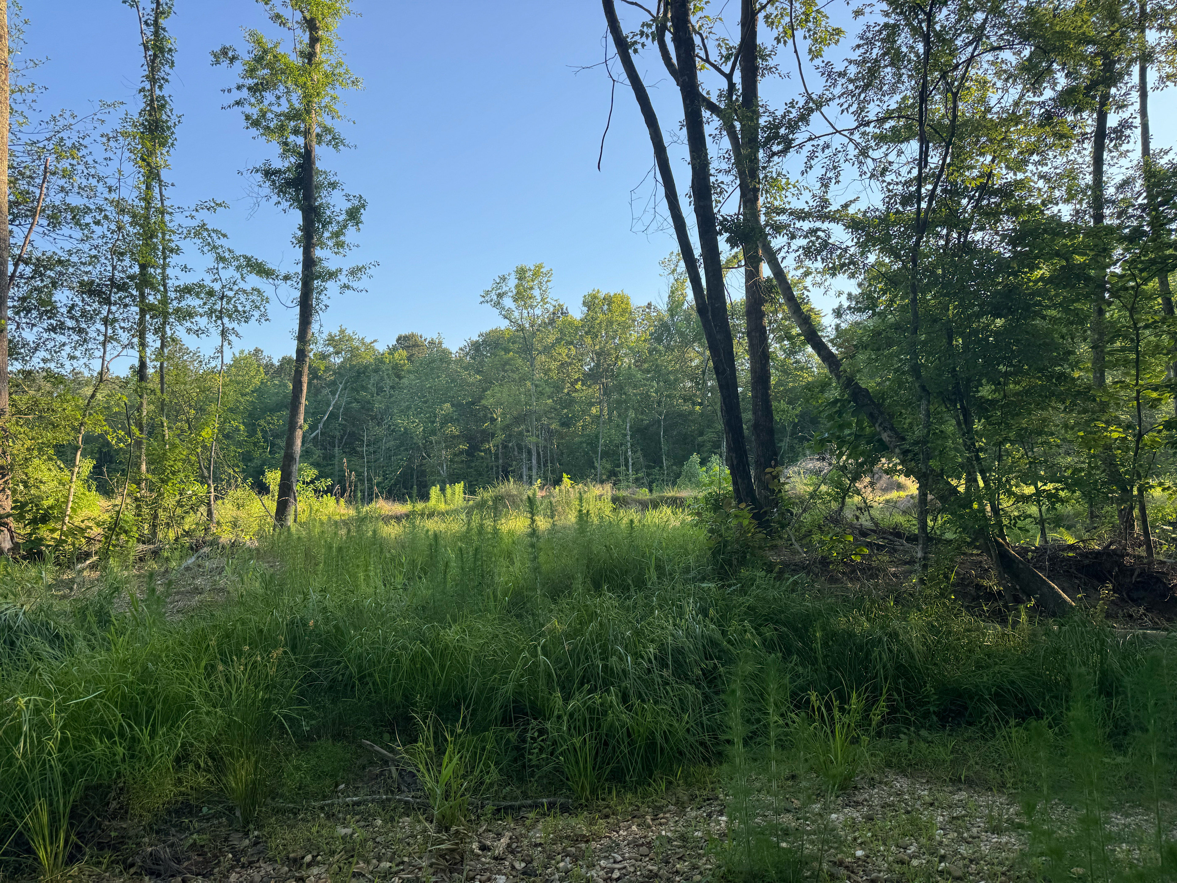 Diamond State RV Park