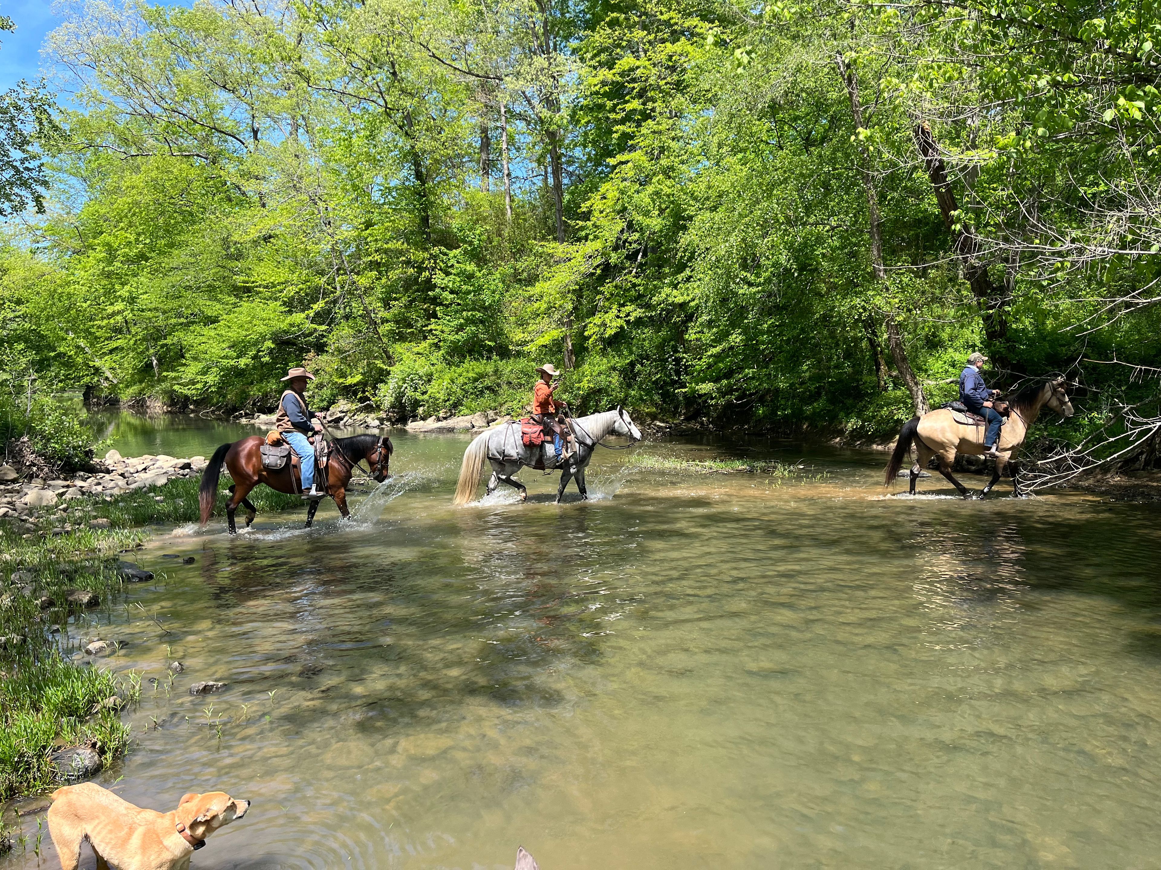Triple R Ranch and Campground