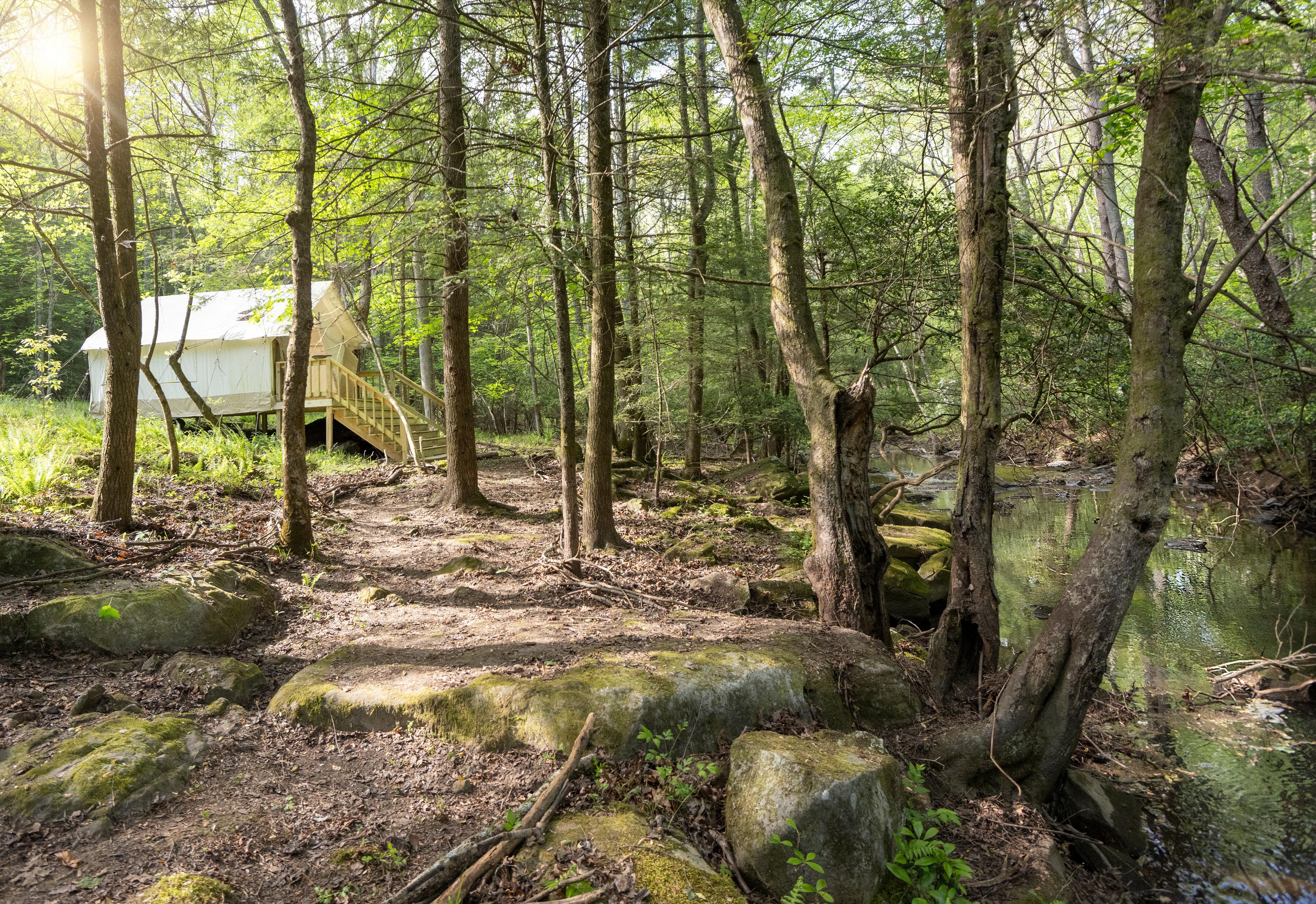 Campsite 2