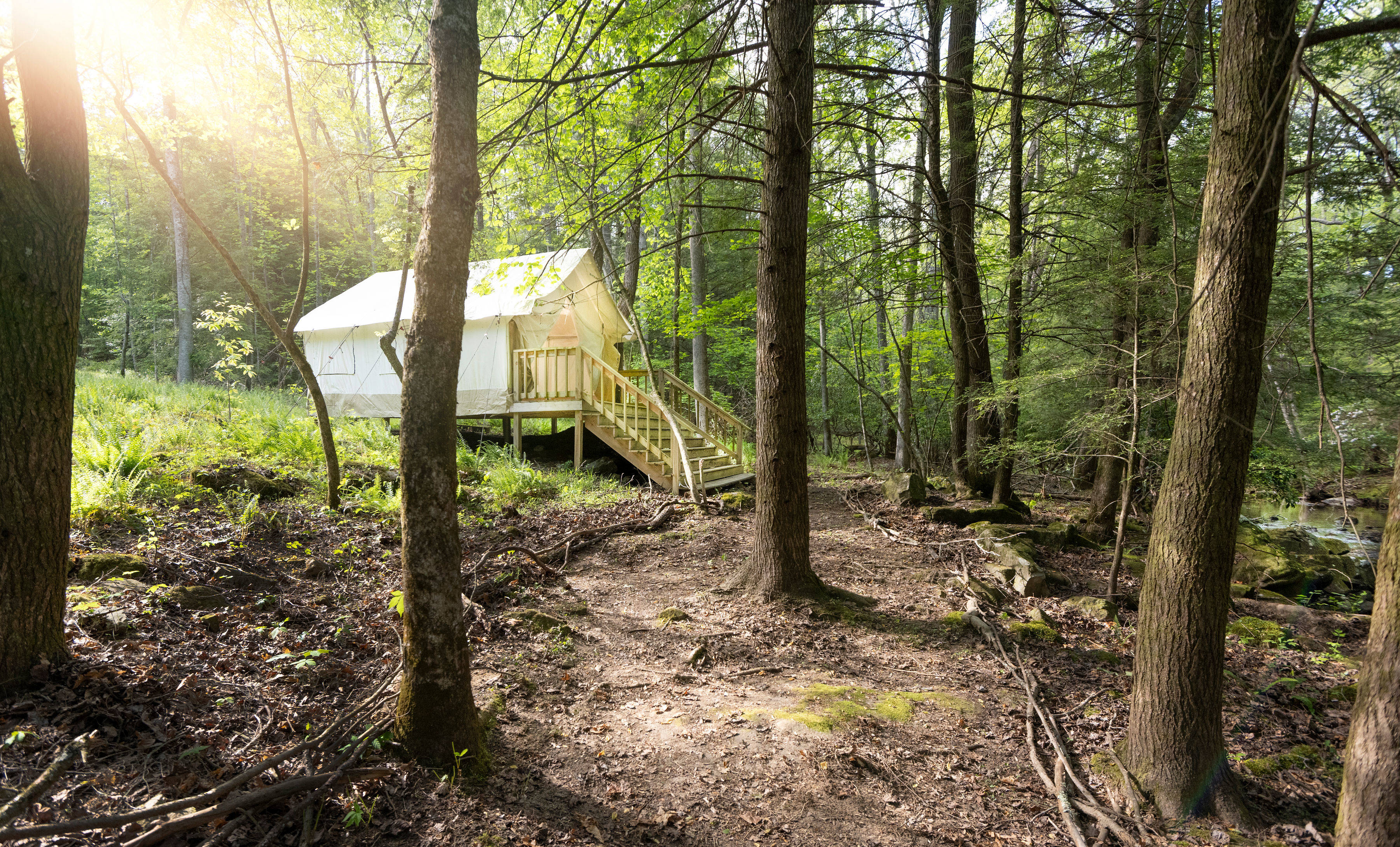 Campsite 2