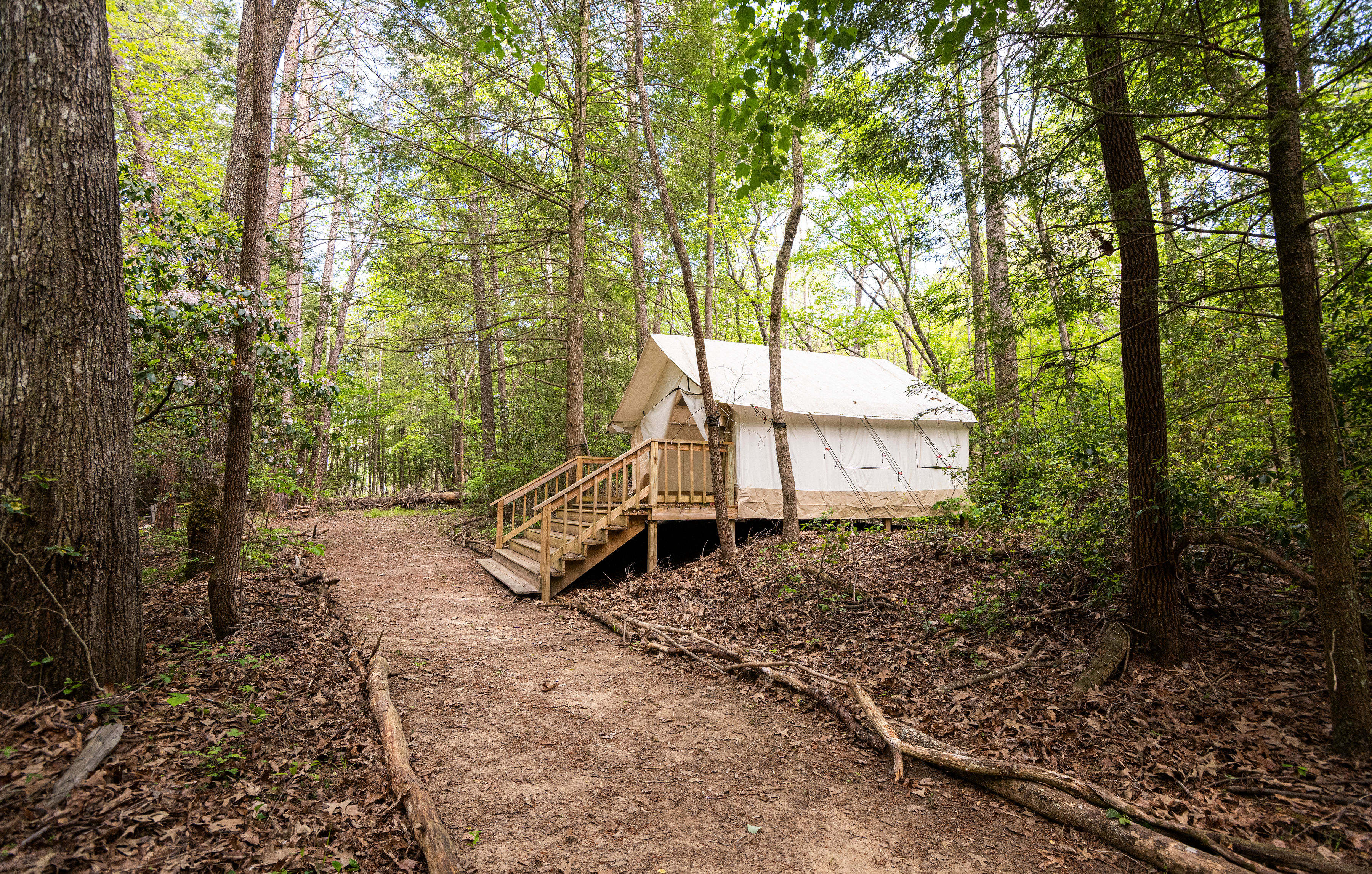 Campsite 3