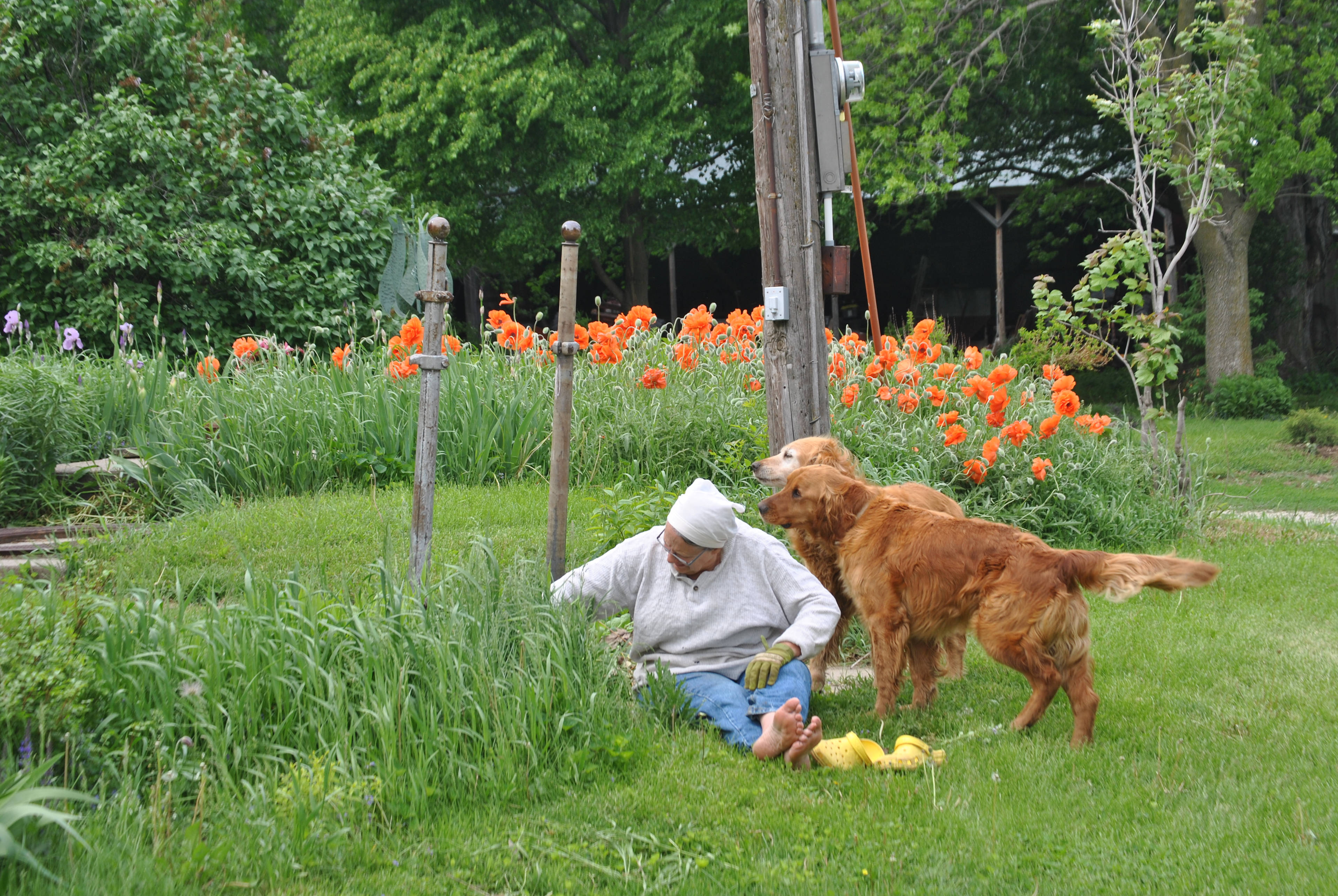 Rolling Acres Farm