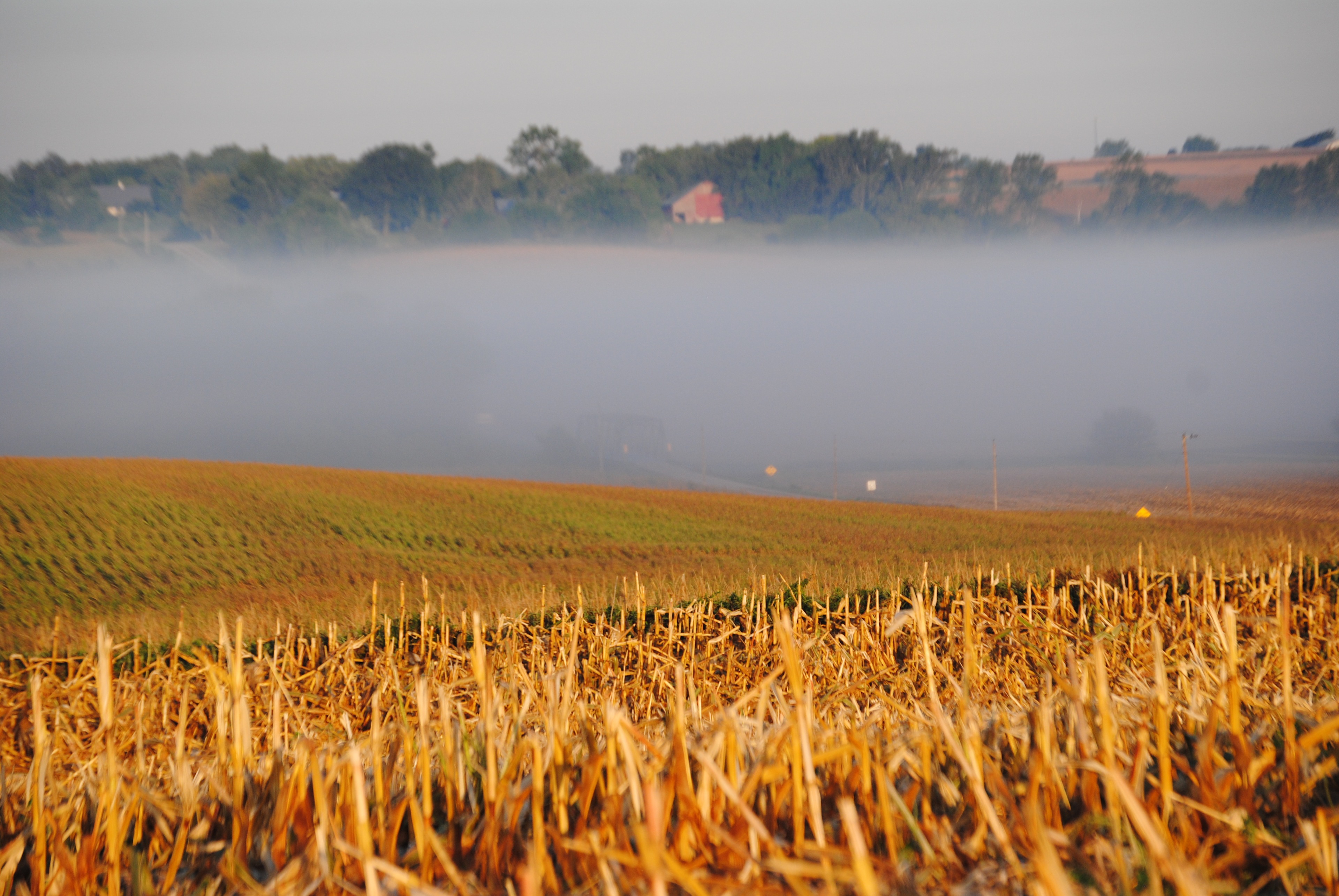Rolling Acres Farm