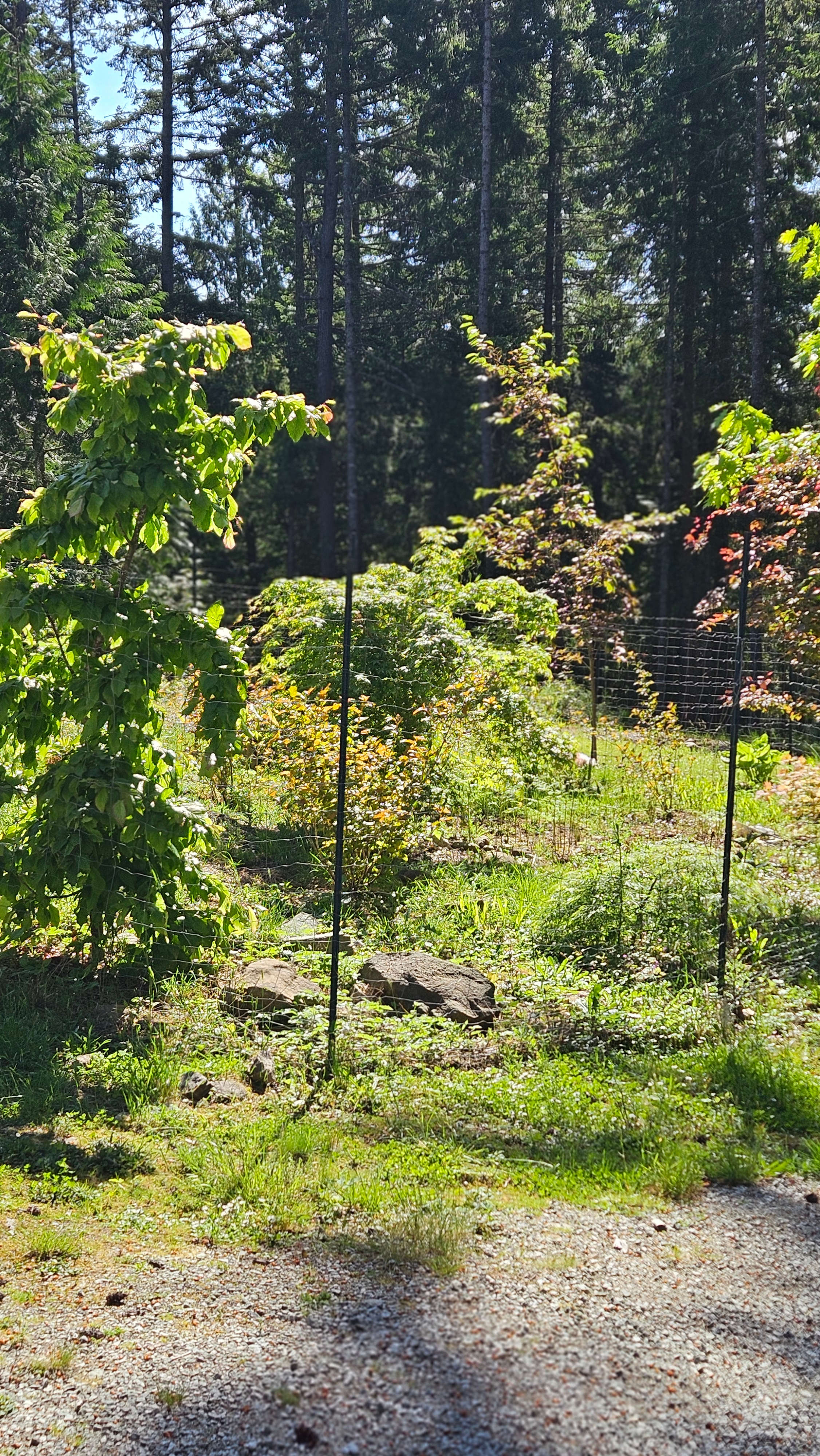 Humingbird Ranch