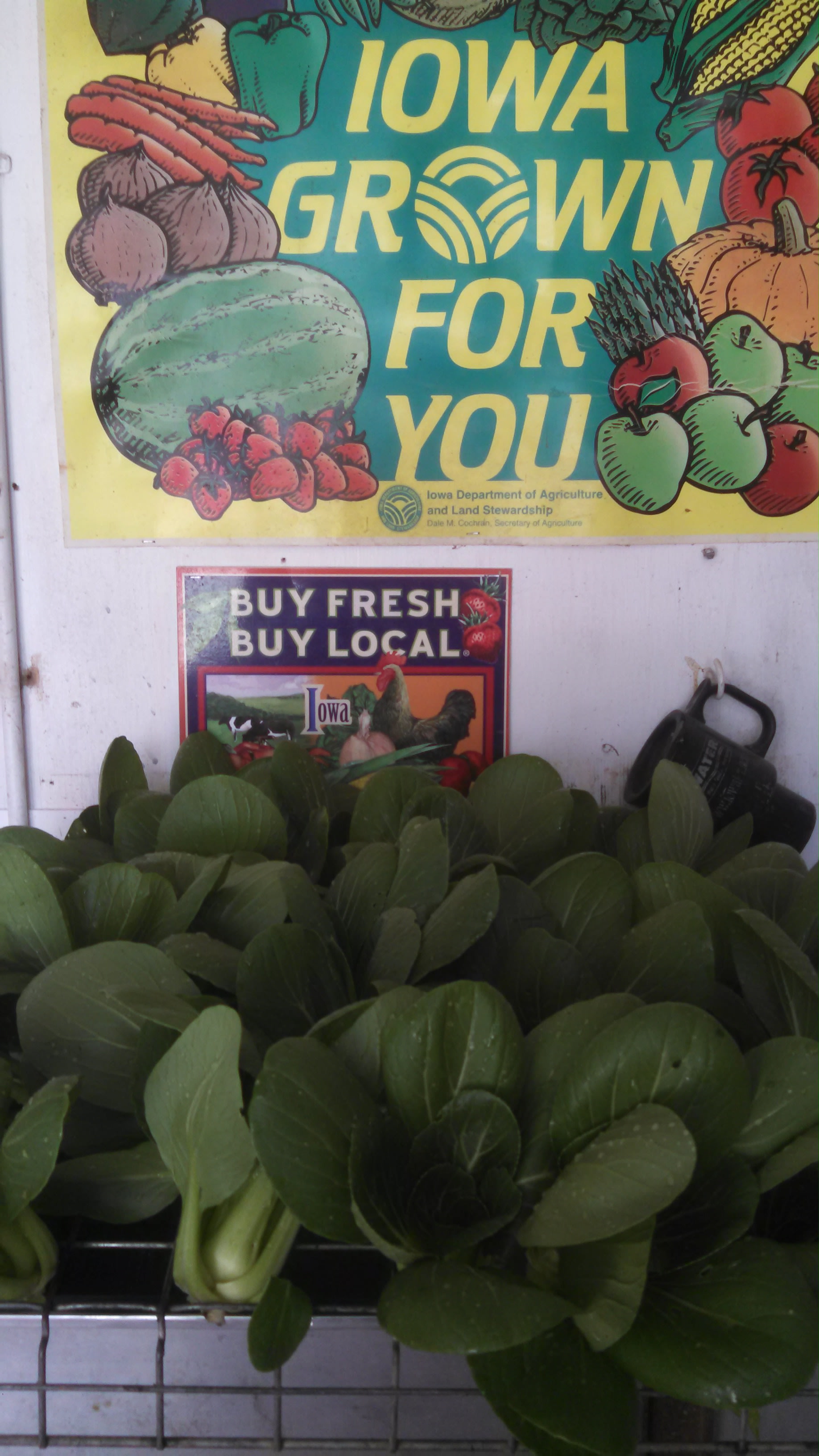 Rolling Acres Farm