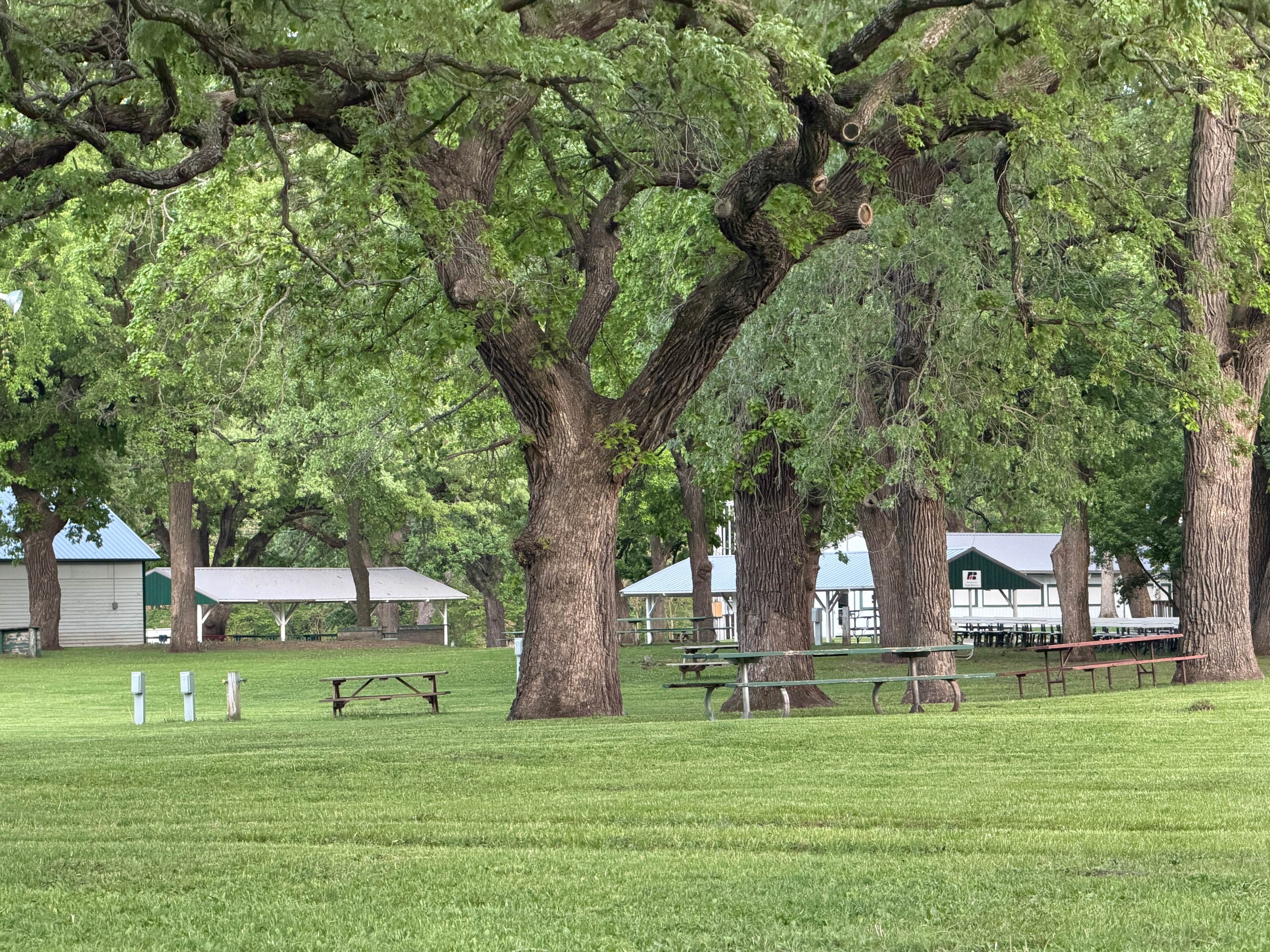 Shady Oaks Campground