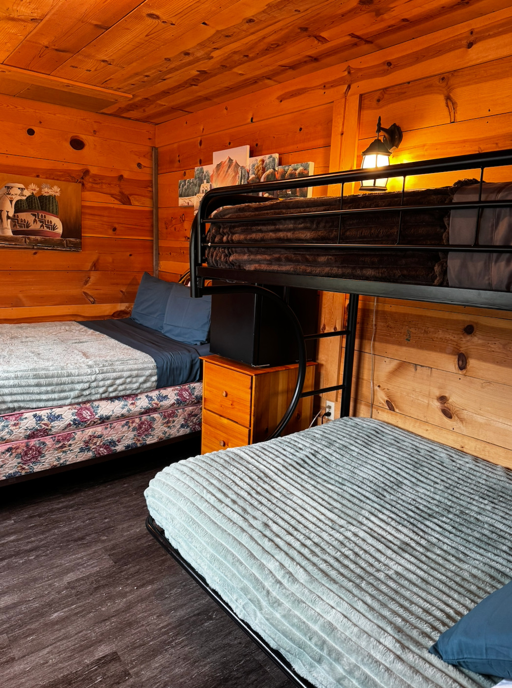Suzie's Camp