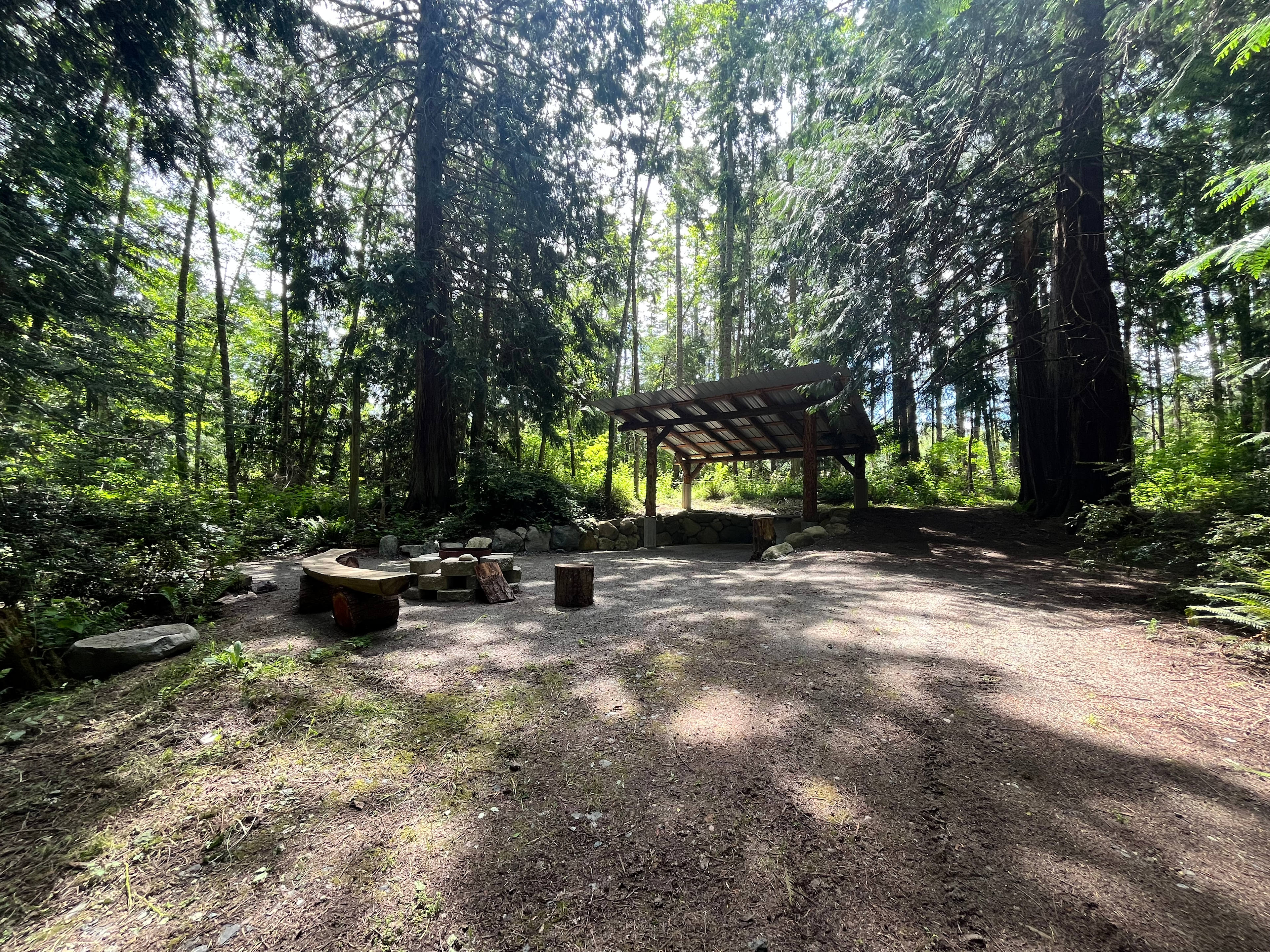 The Last Of The Wonder Woods