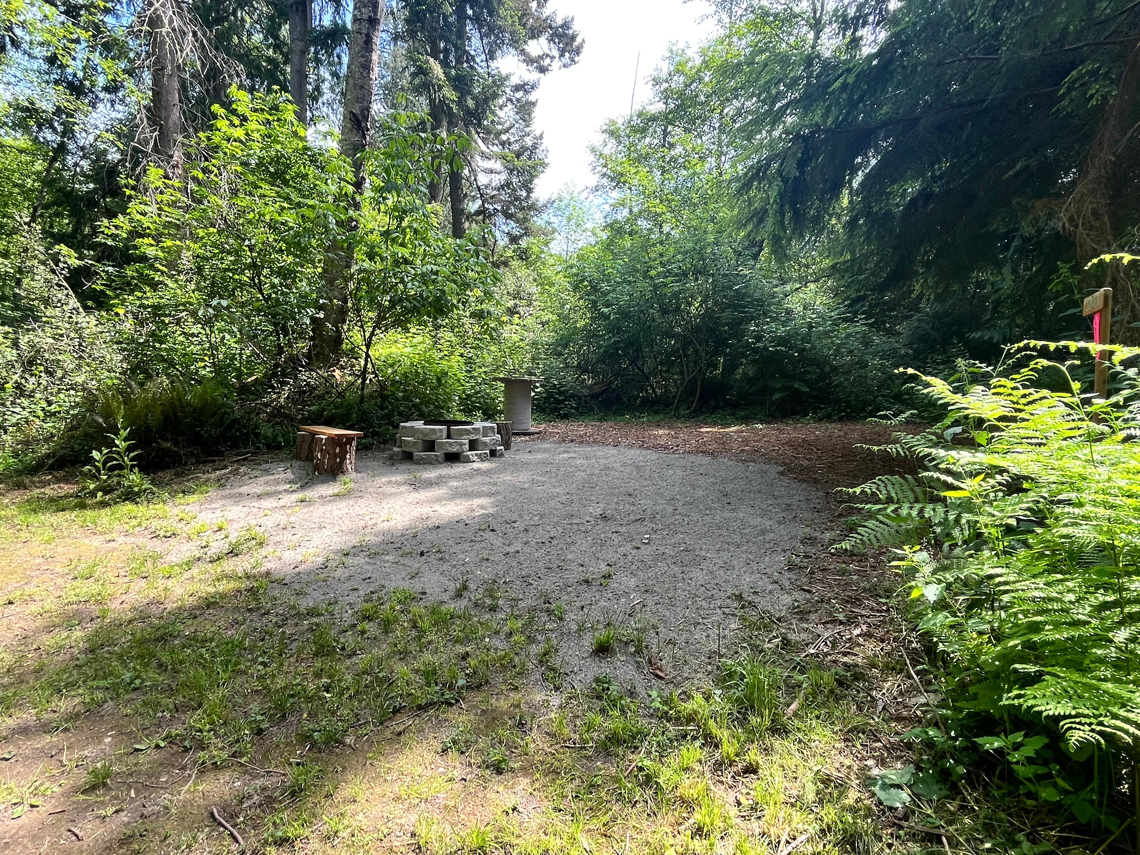 The Last Of The Wonder Woods