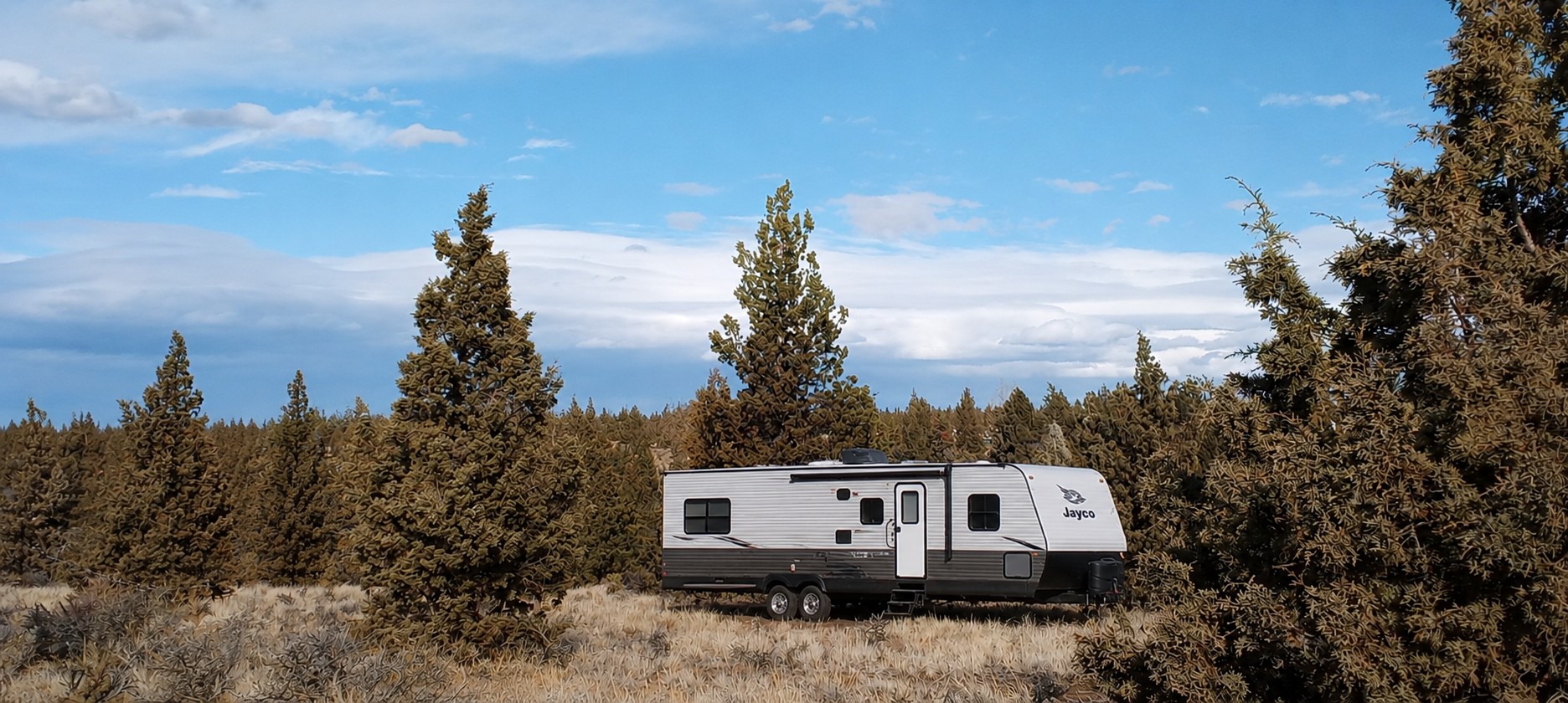 Under the Pines