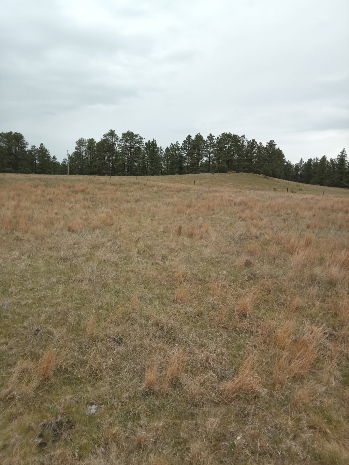 The Happy Camper's Perfect Spot