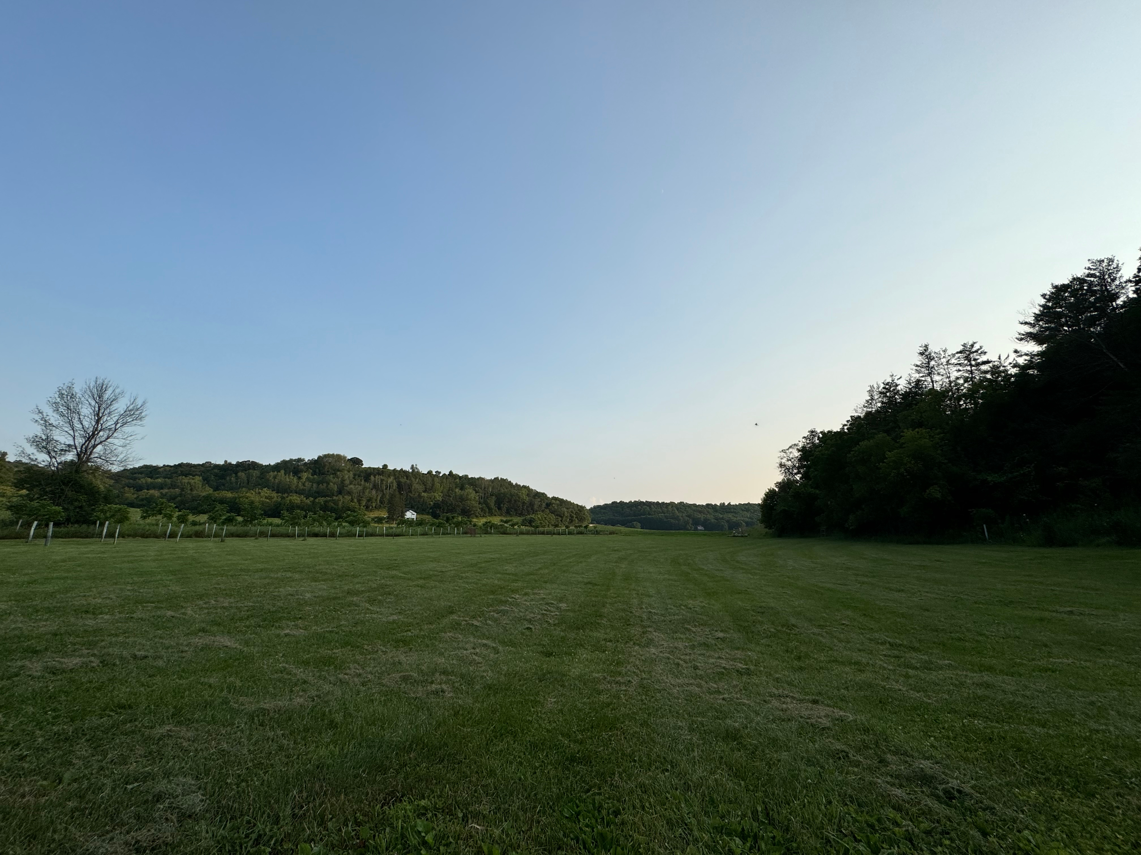 Site 1.  Our hay fields, after cutting & walnut grove the main dedicated RV pad overlooks. 