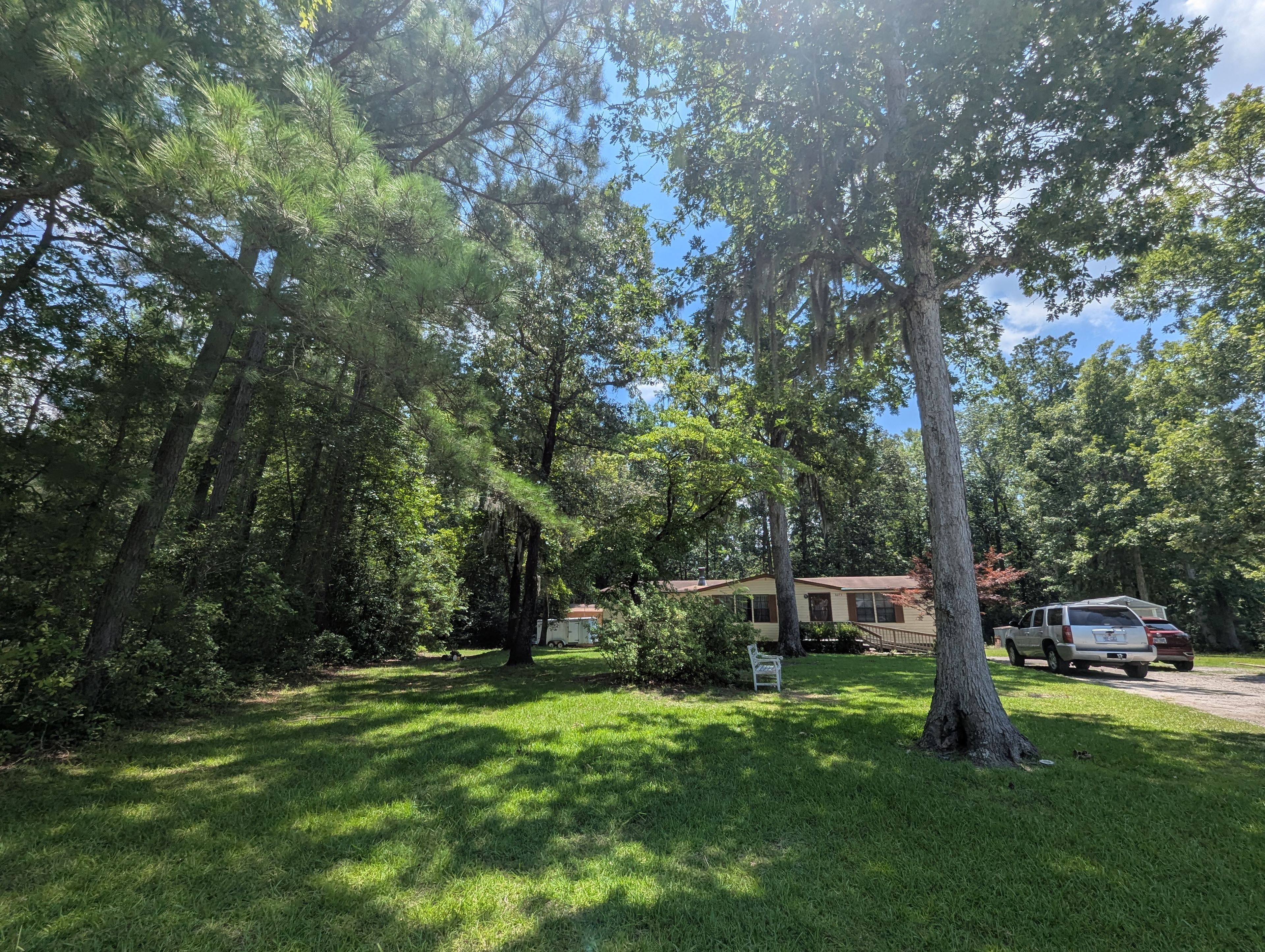 The Side Yard