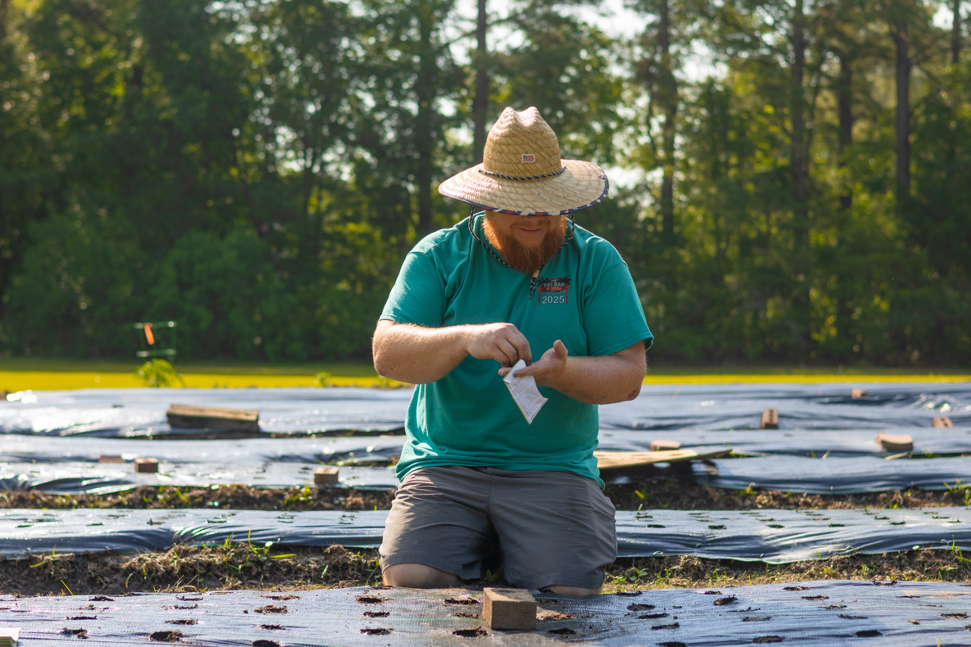 Patrick planting the soon-to-be UPick flower field