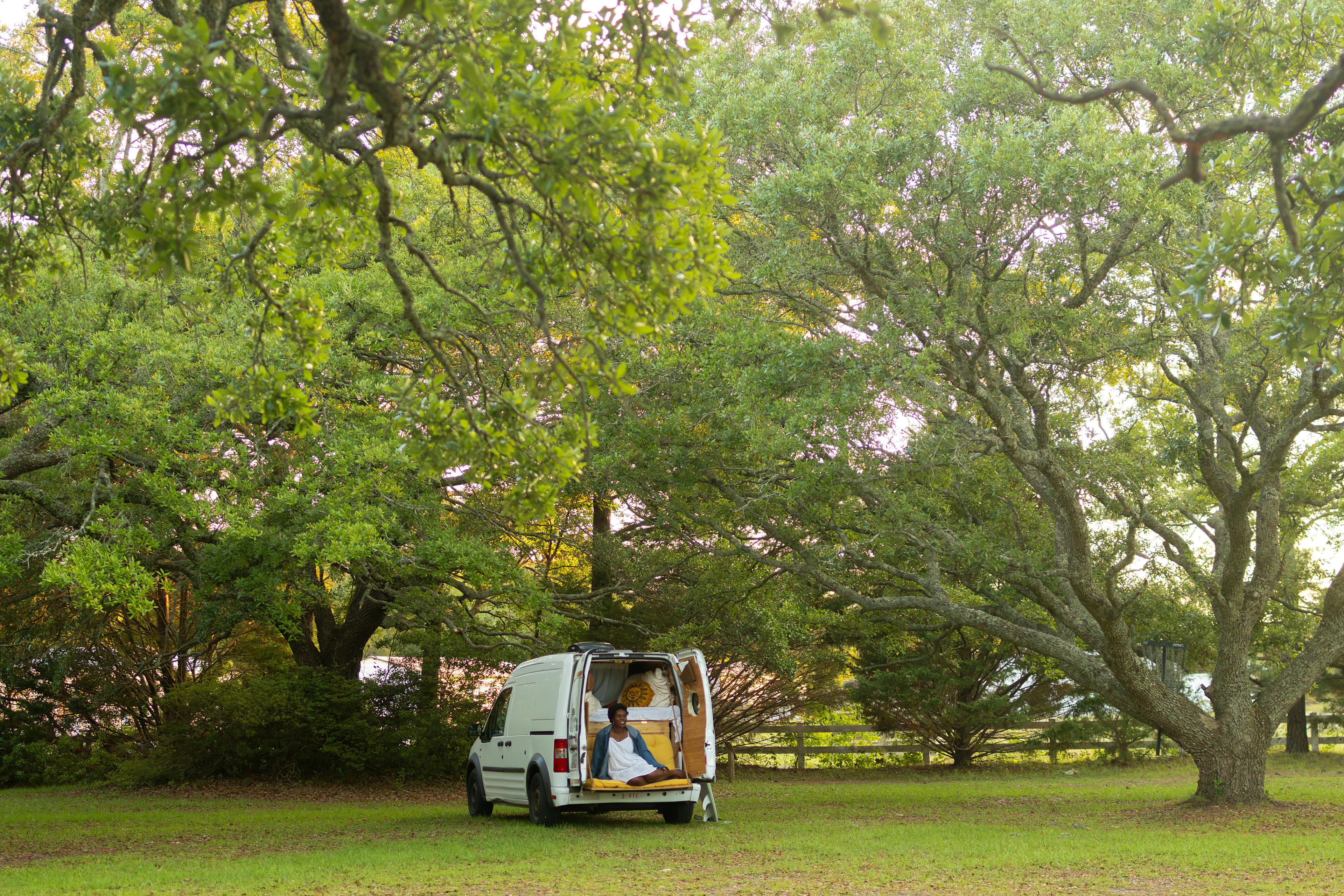 The Live Oak site in all its glory