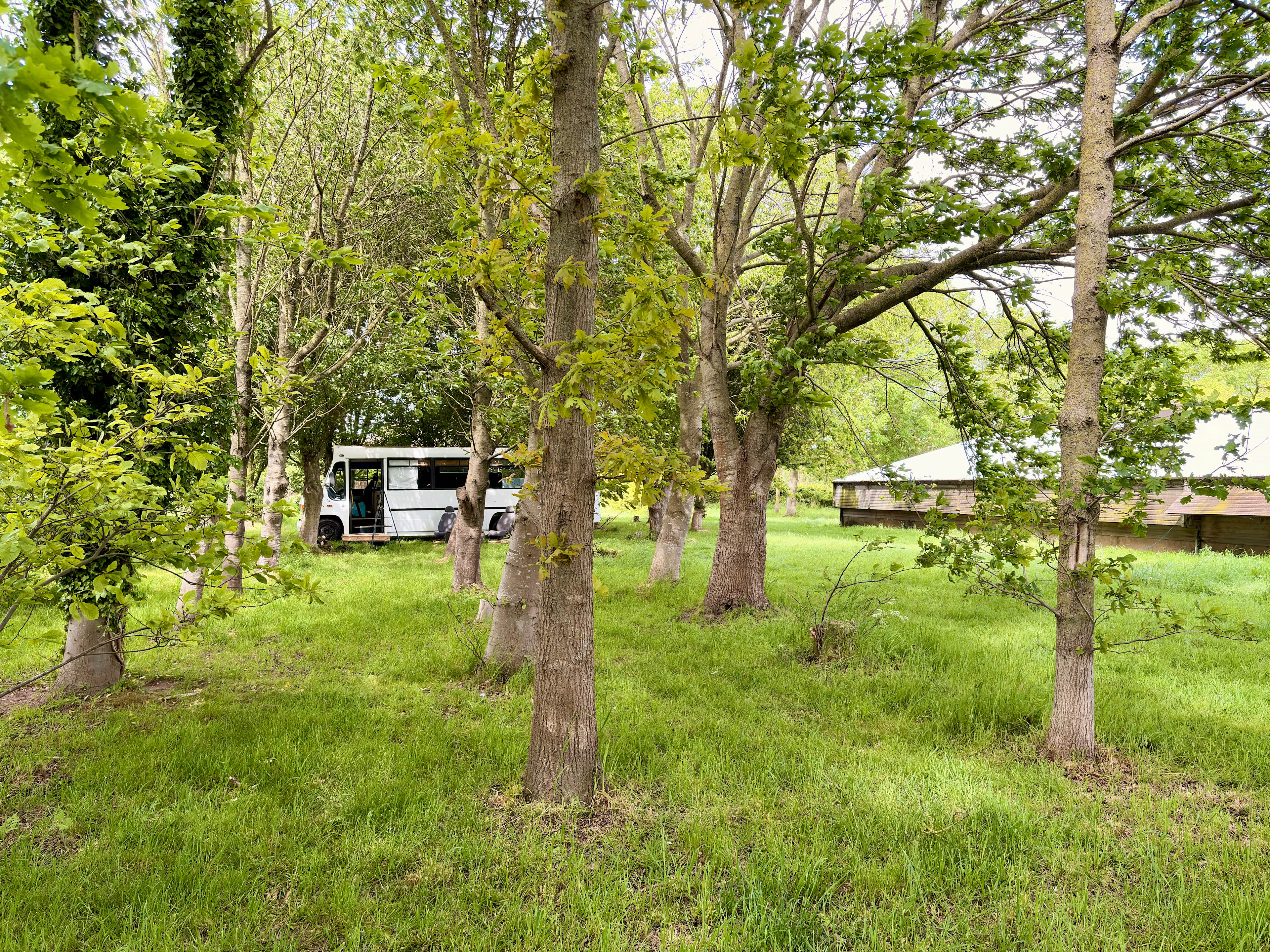 Glamping Bus