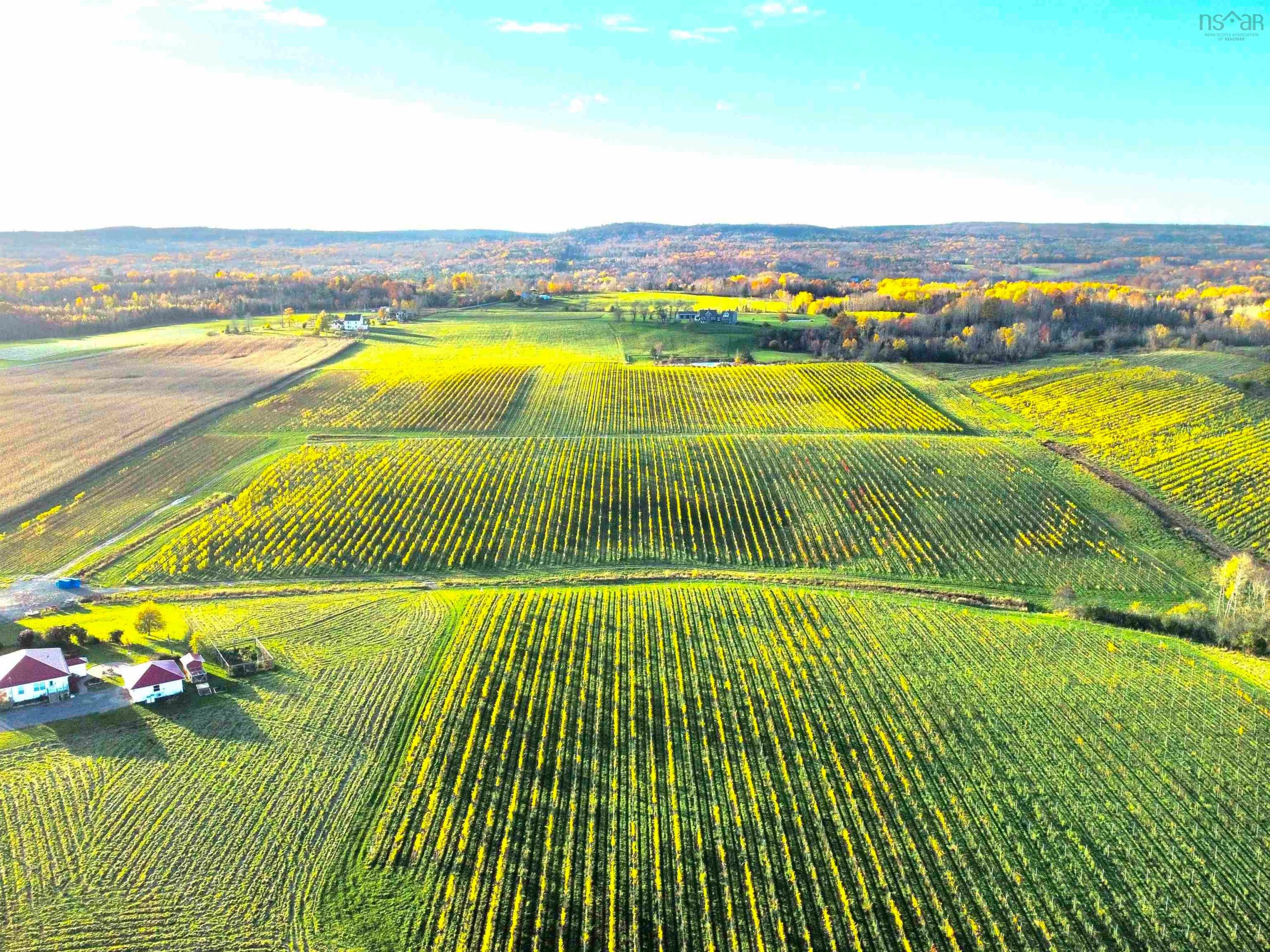 Mumana Vineyards