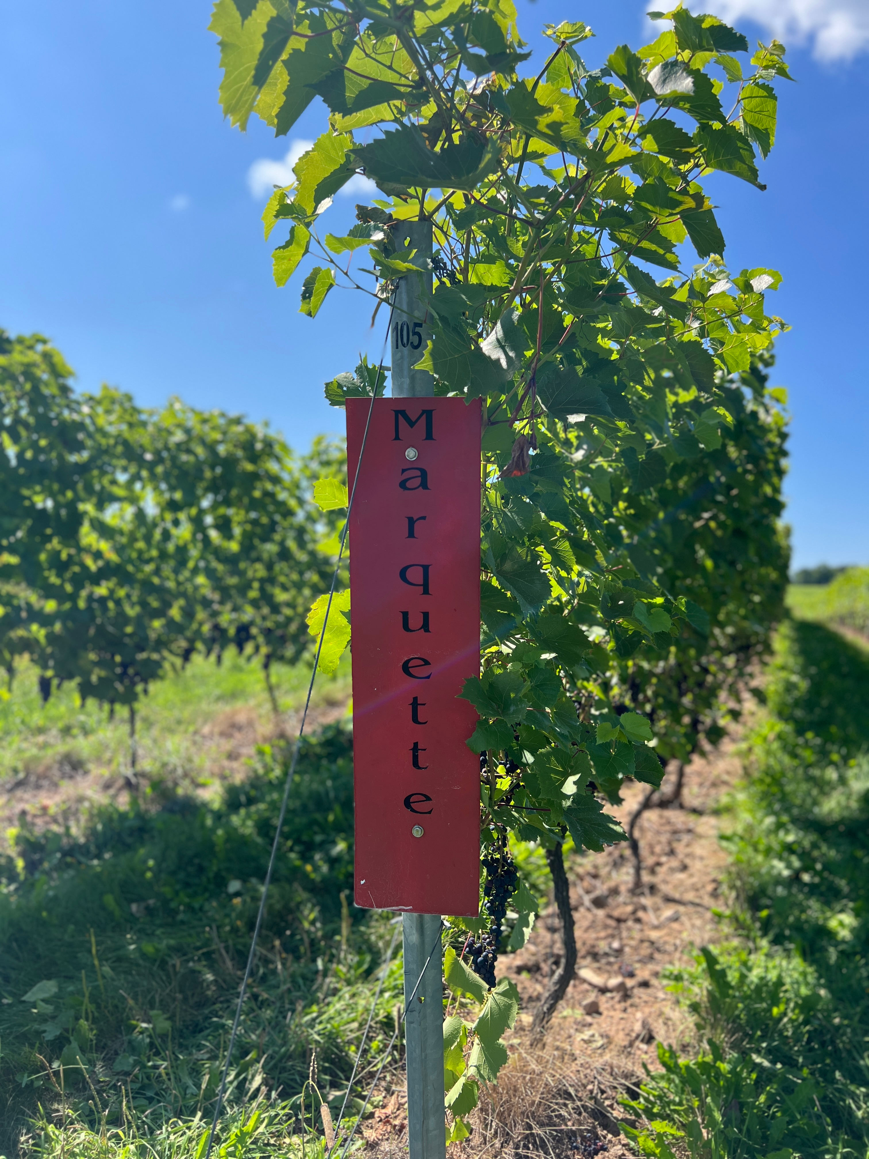 Mumana Vineyards