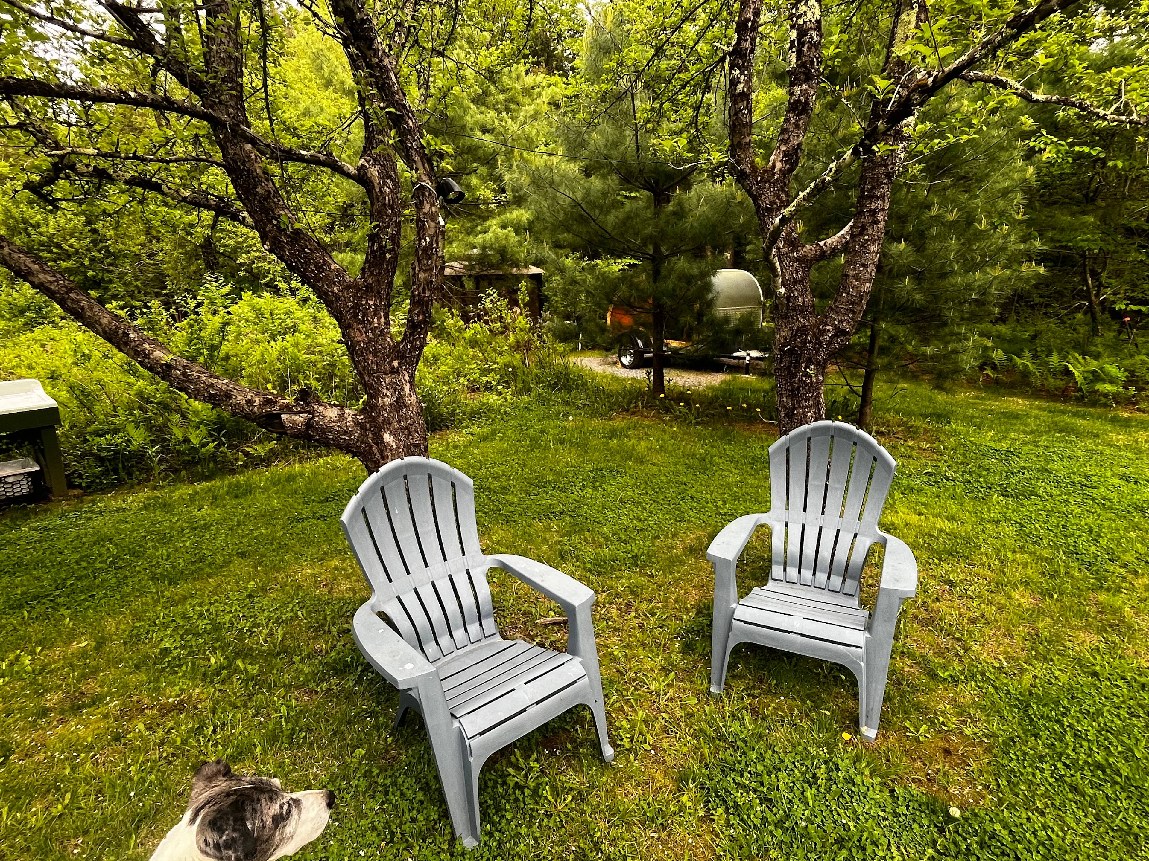 Abbott's AuNatural Vermont Glamping