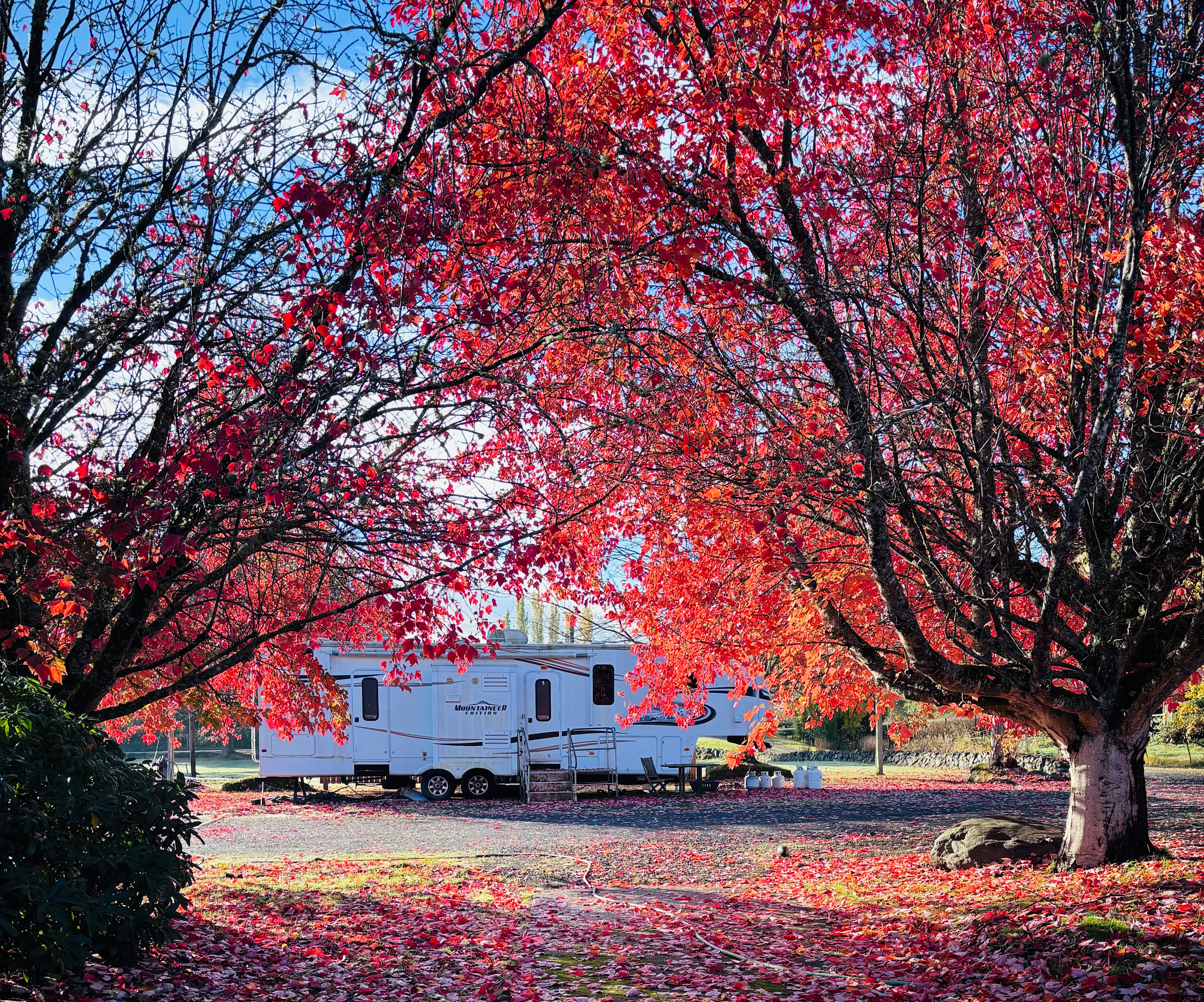 Soundview Farm