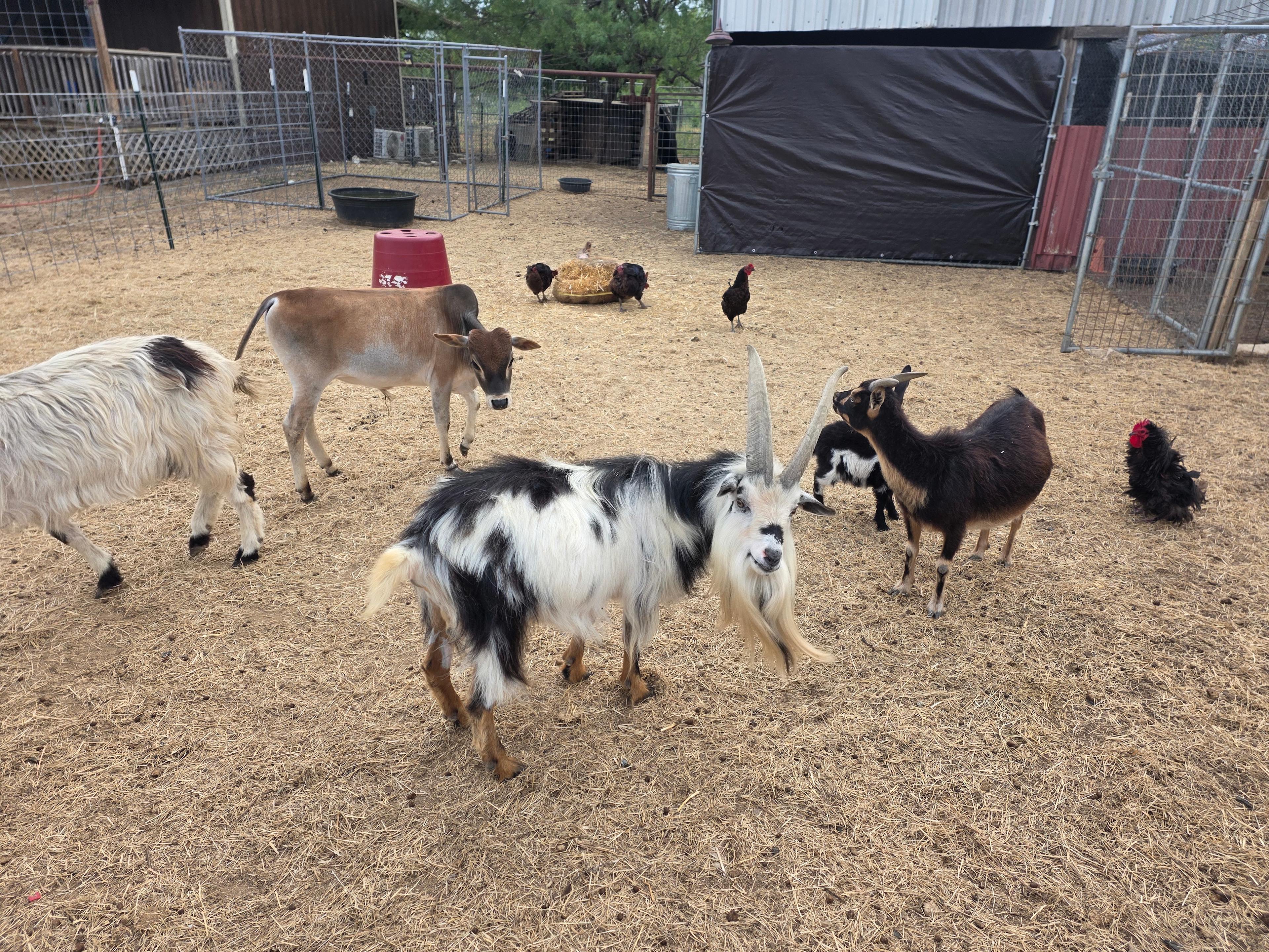 Fecit Farm