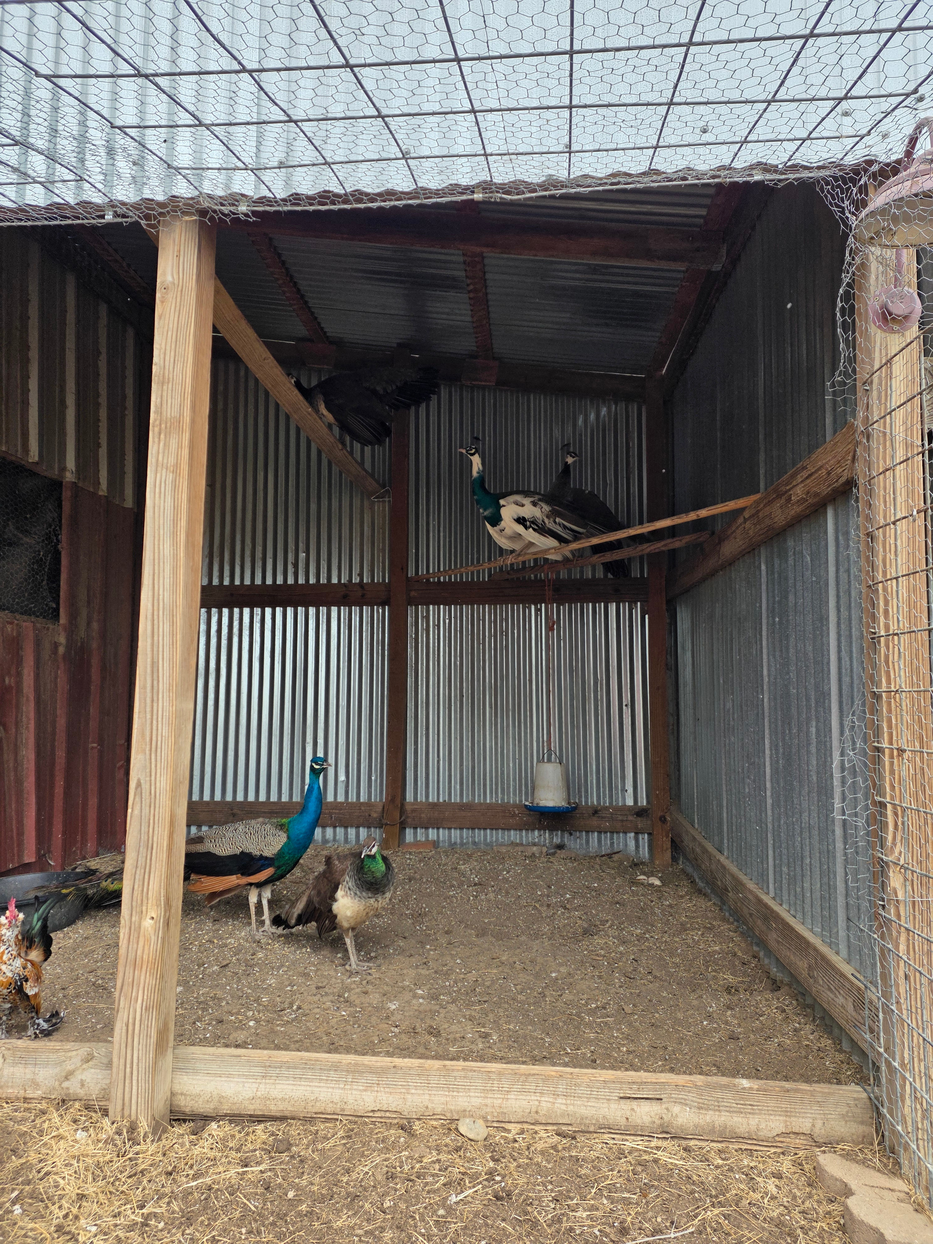 Fecit Farm