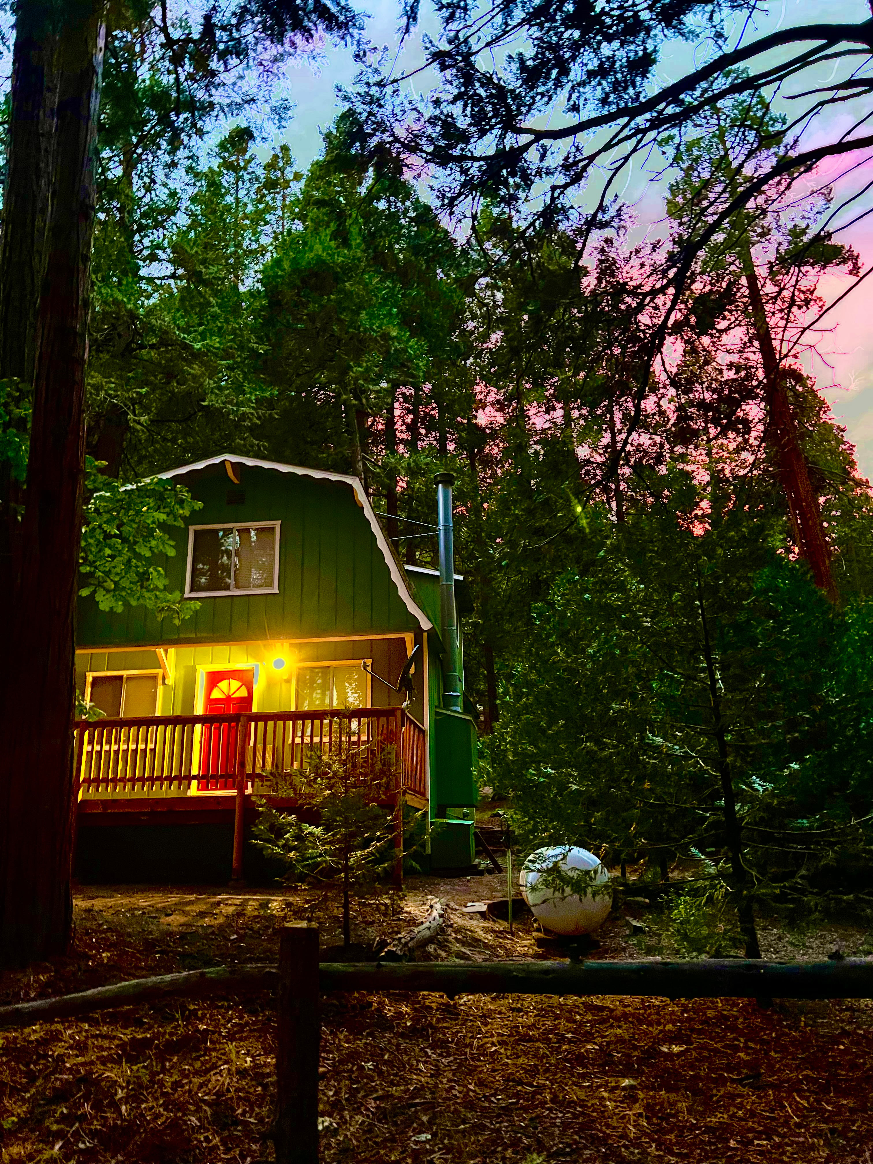 Cedarsnstars