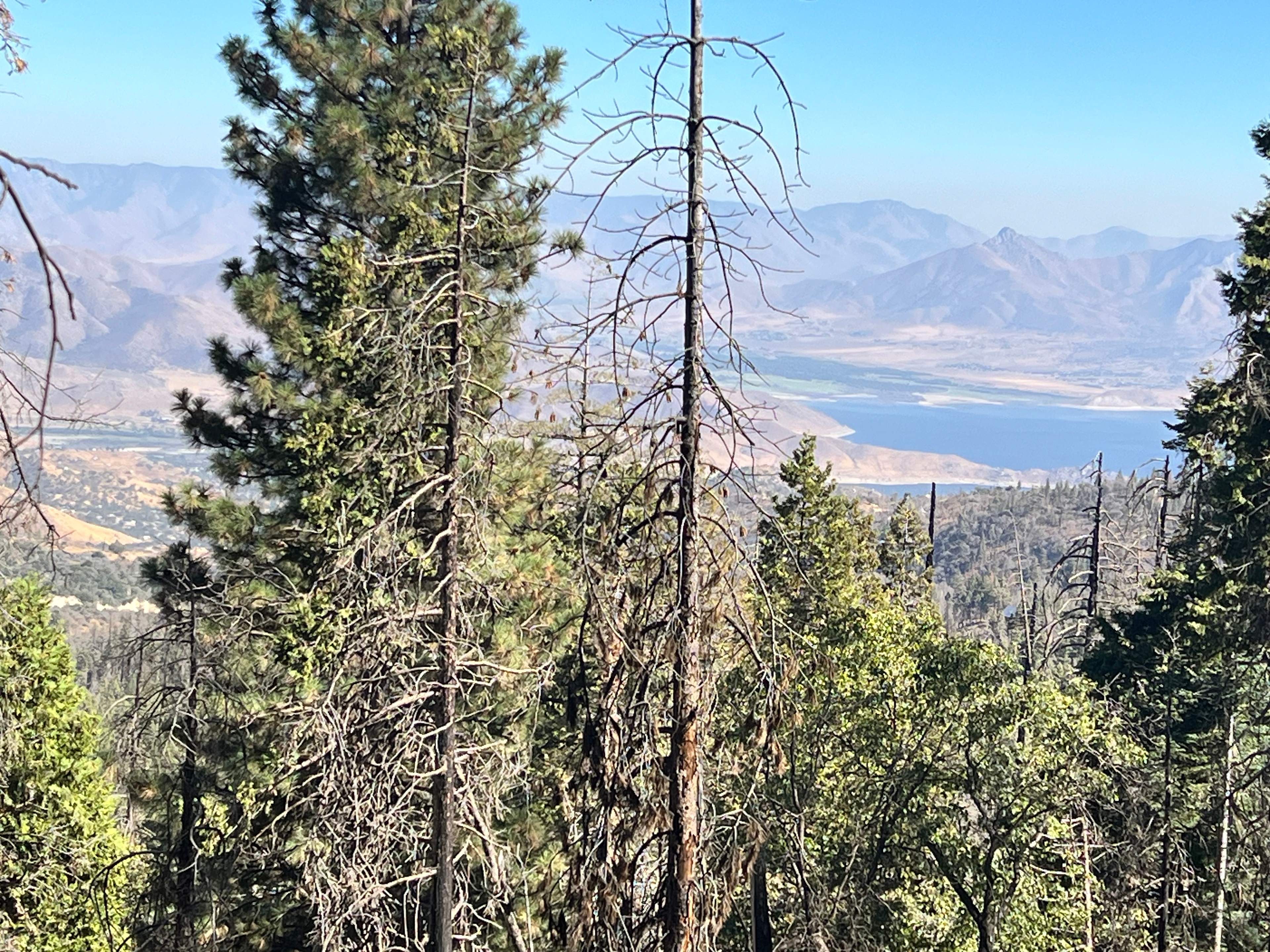 View of the lake from the Unal trail