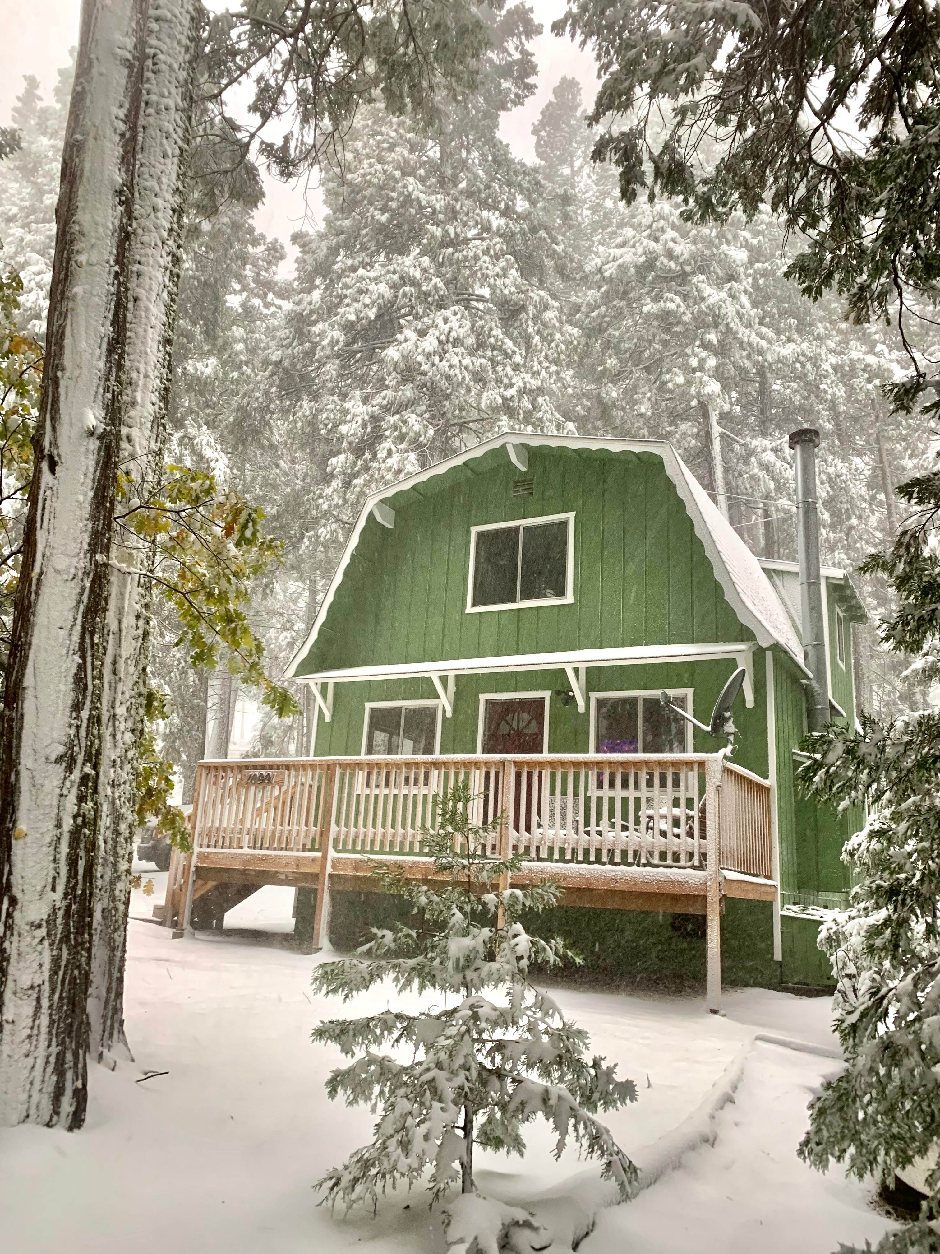 winter wonderland