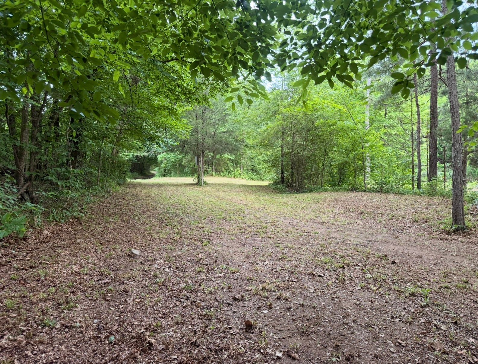 Shady Camp on Little Piney Creek