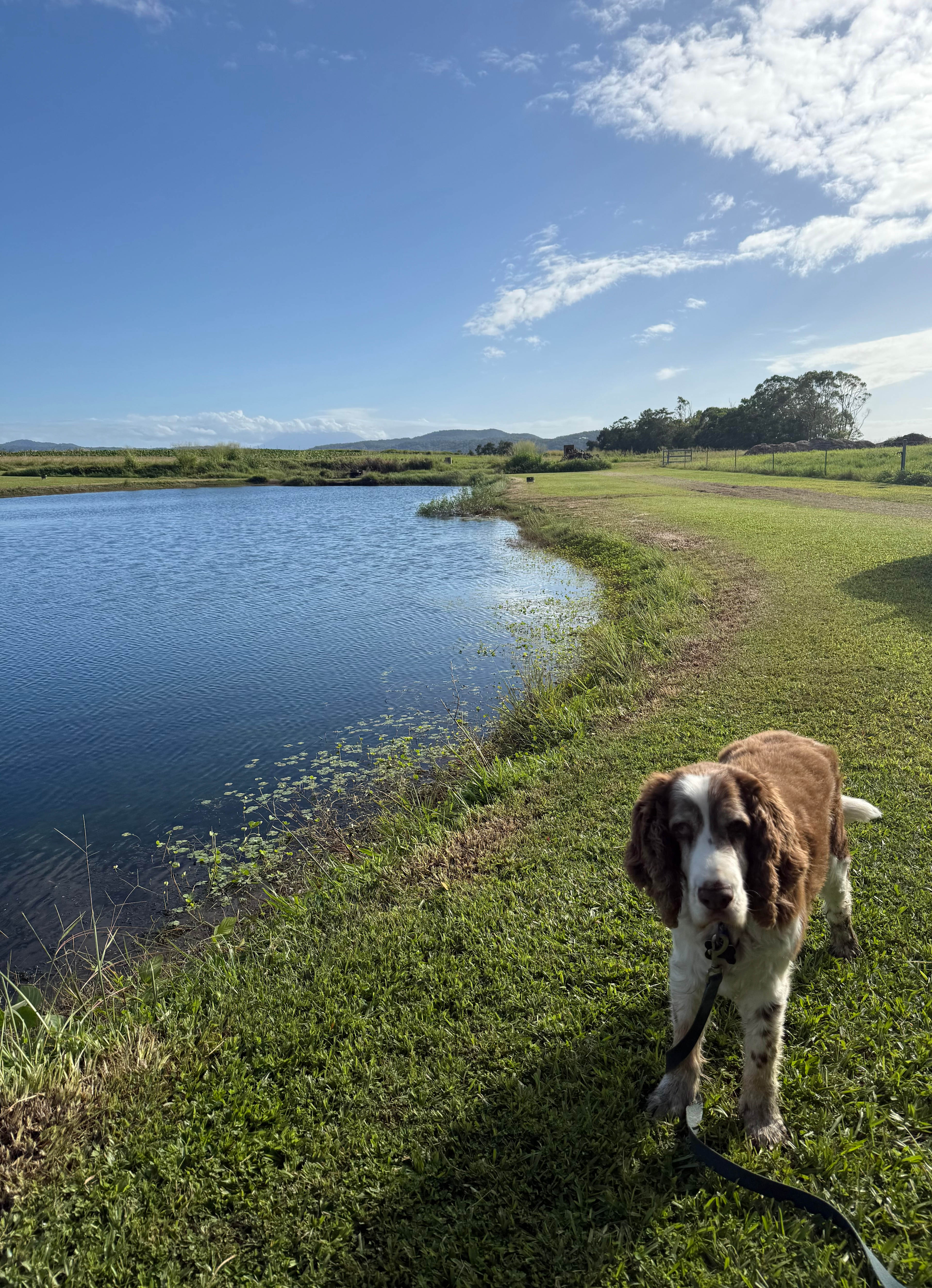 Newell Beach Farm Stay