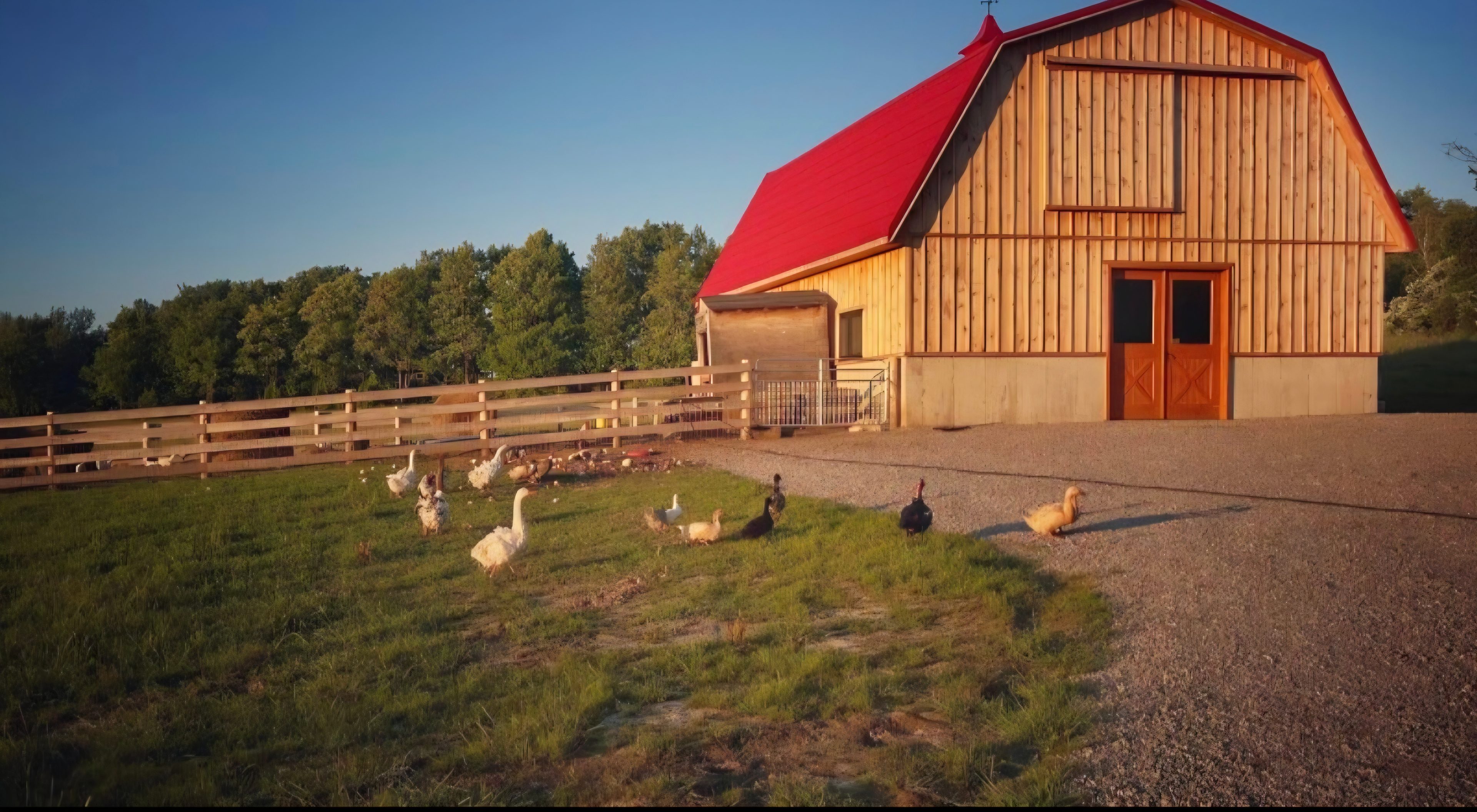 Risk Ranch