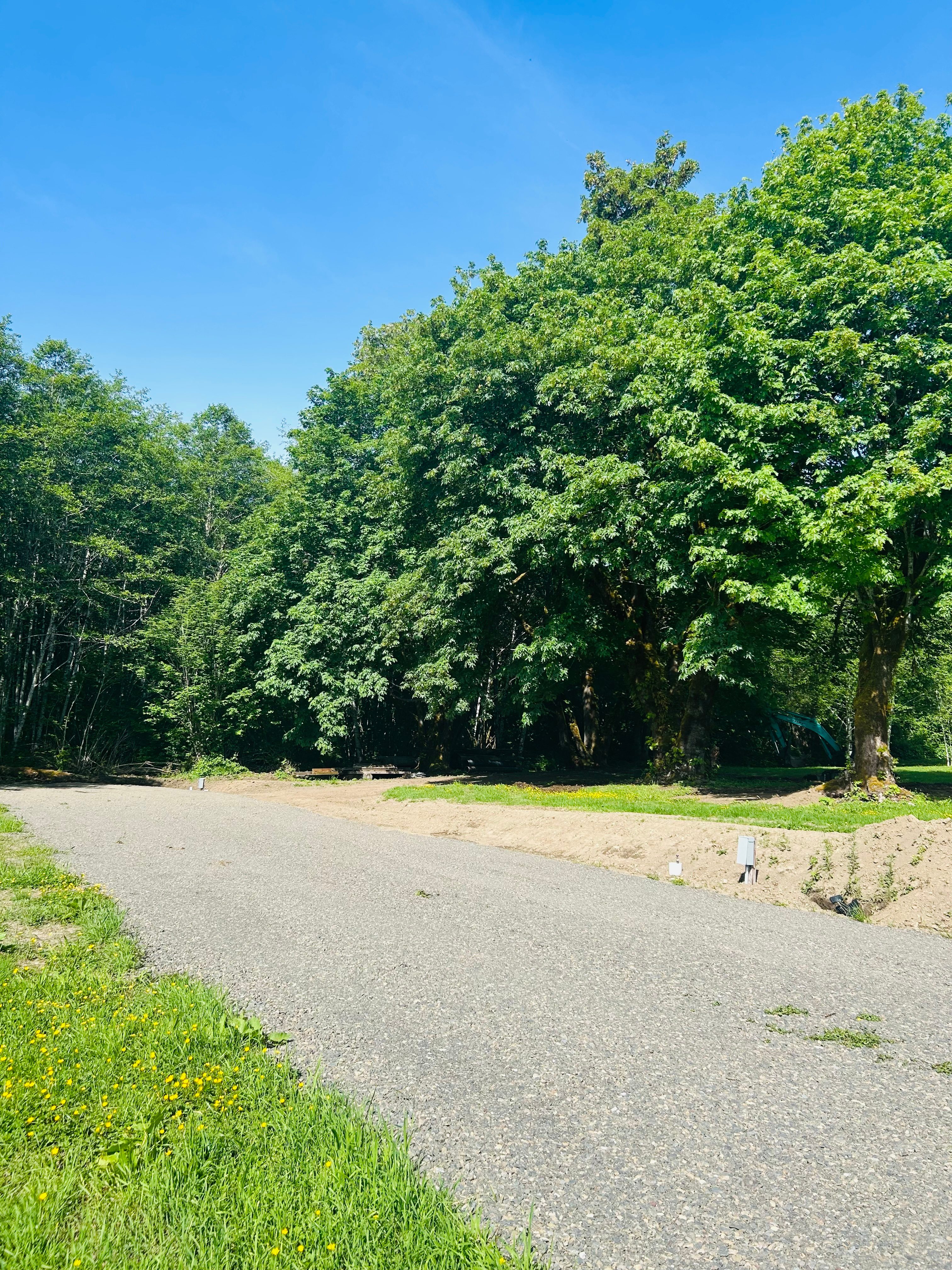 Lake Pleasant View