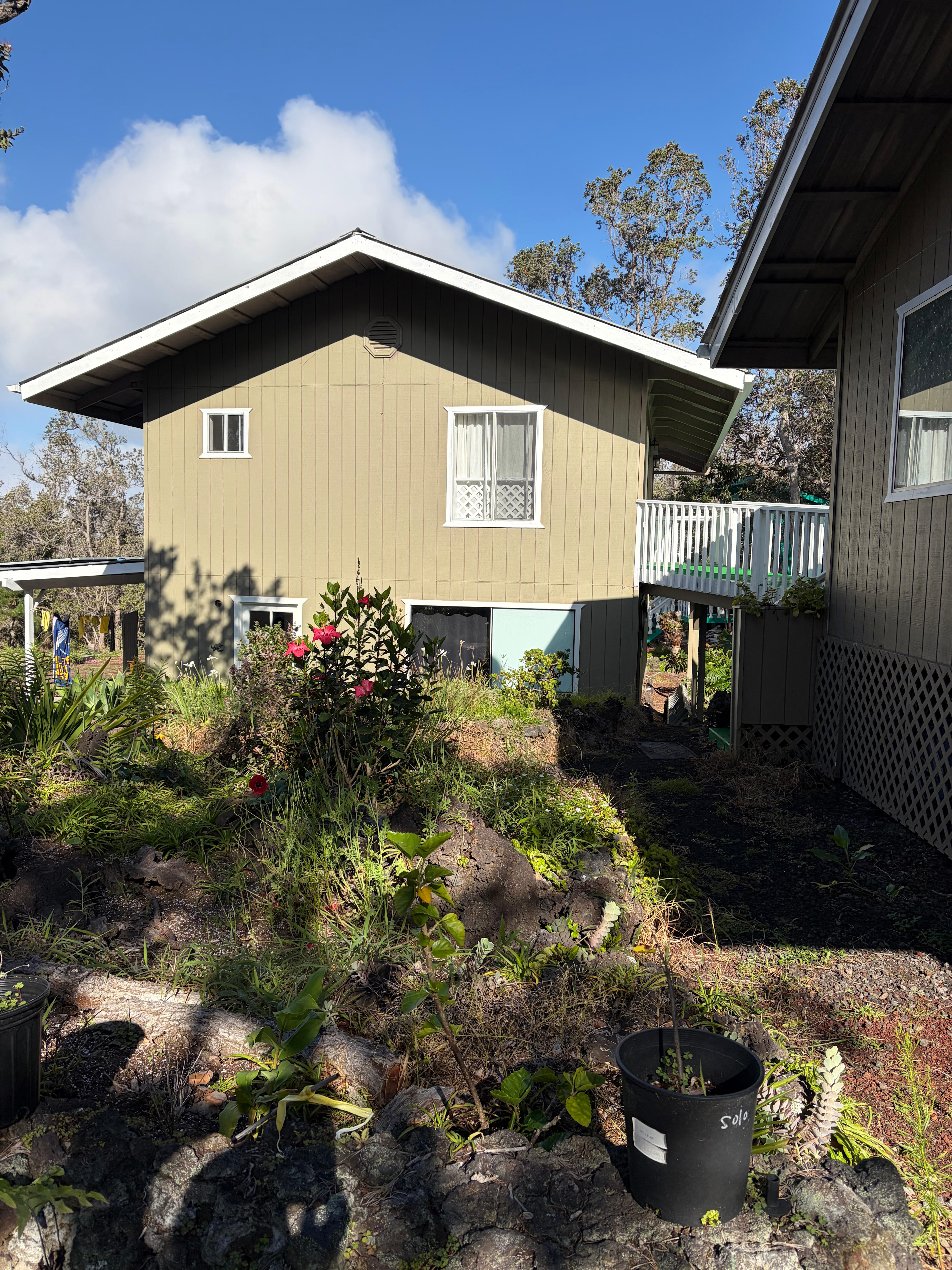 Heavenly Hawaiian Homes