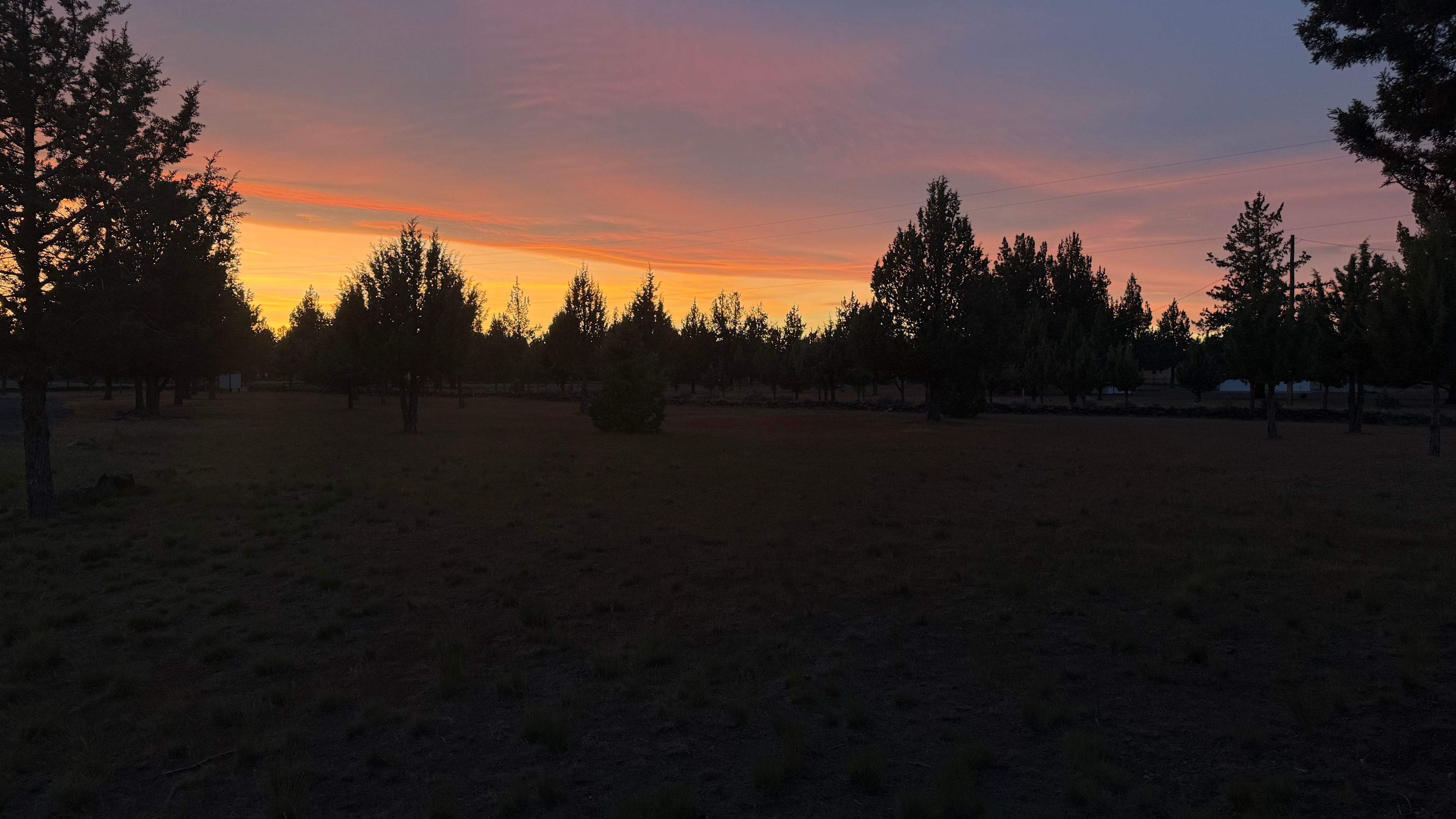 Camp Elevated Adventures