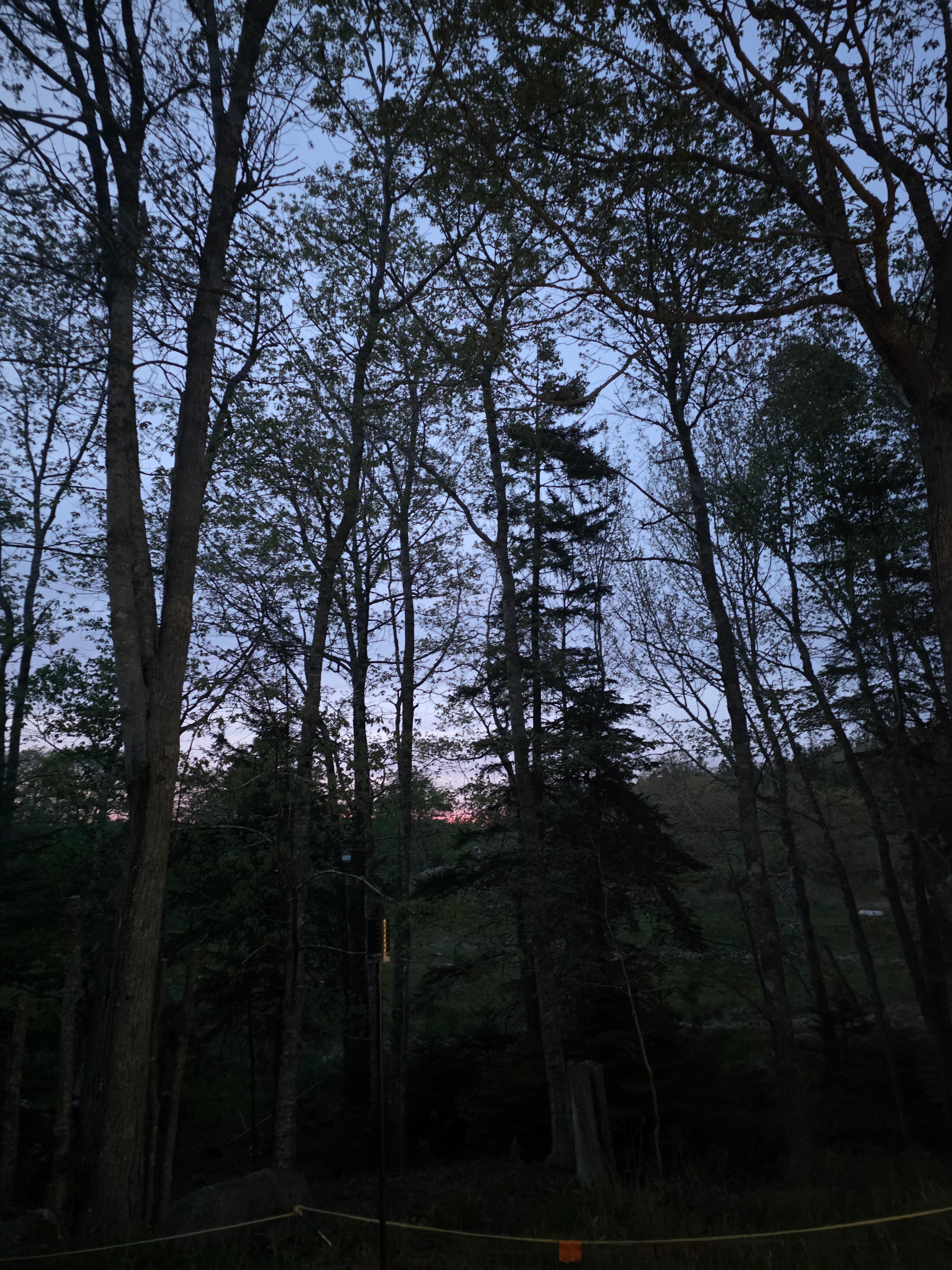 Moreyville Camp Ground