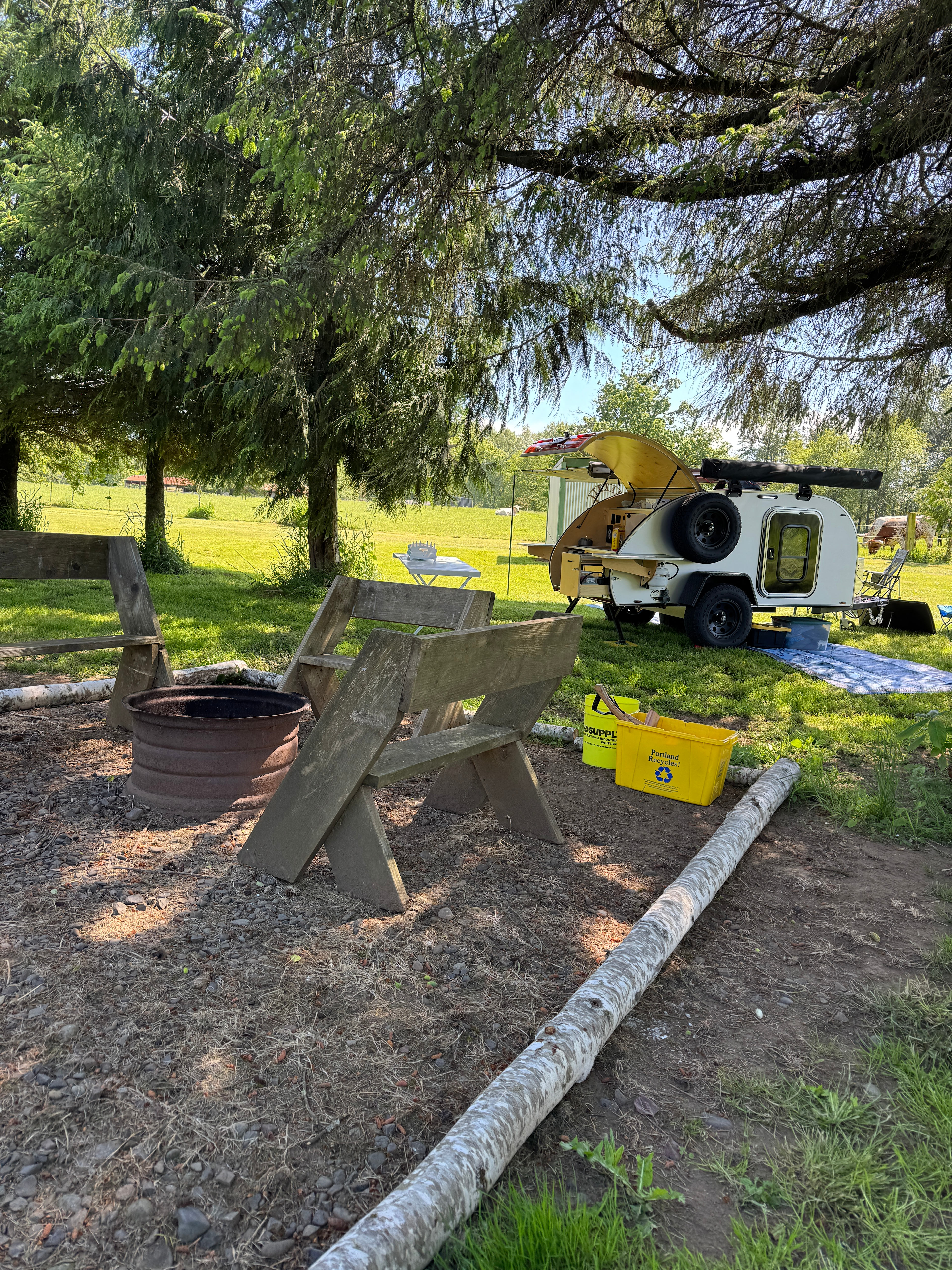 RC Larson Longhorn Ranch