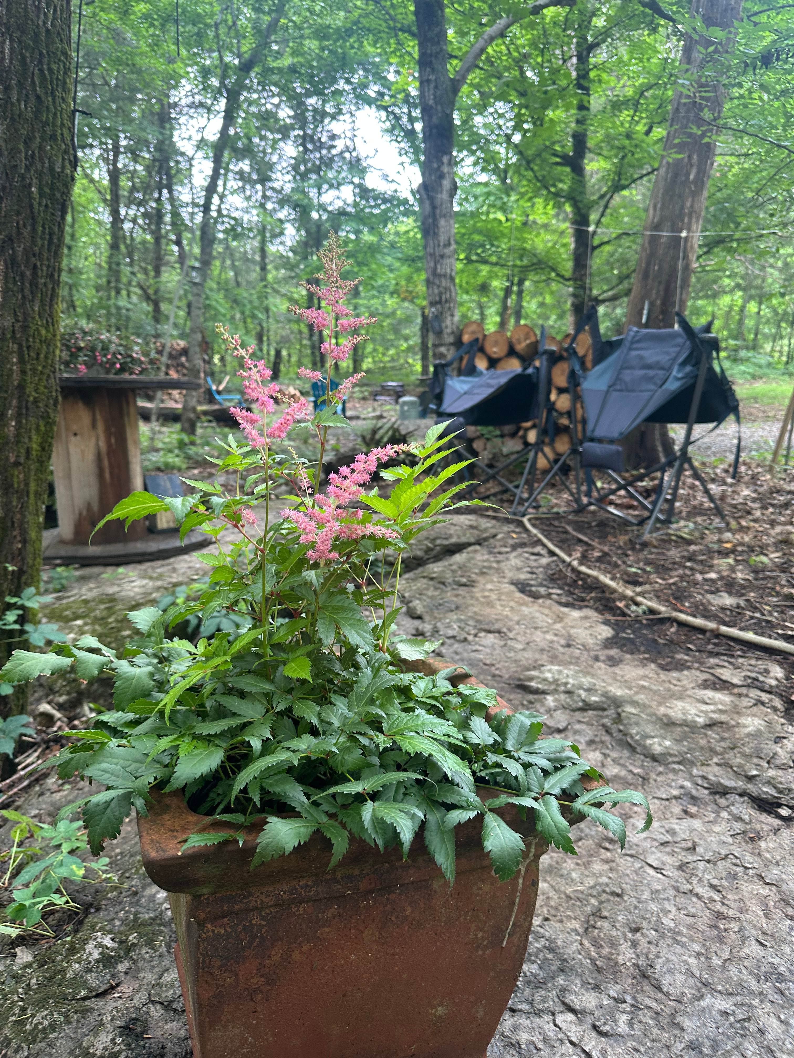 On The Rocks Campsite